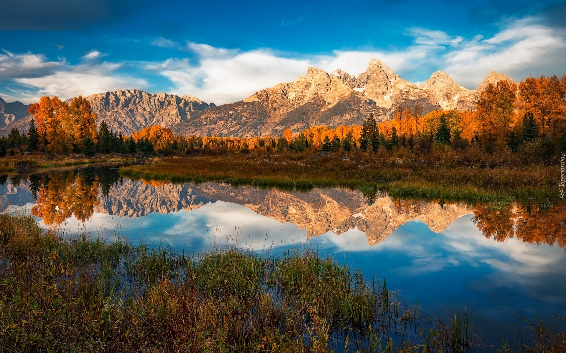 Stany Zjednoczone, Stan Wyoming, Park Narodowy Grand Teton, Góry, Rzeka Snake River, Drzewa, Roślinność