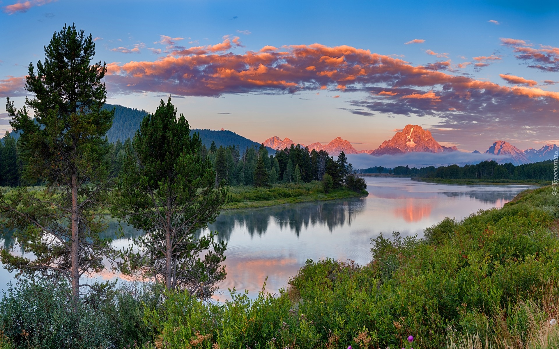 Stany Zjednoczone, Stan Wyoming, Park Narodowy Grand Teton, Rzeka Snake River, Góry Skaliste, Las, Drzewa