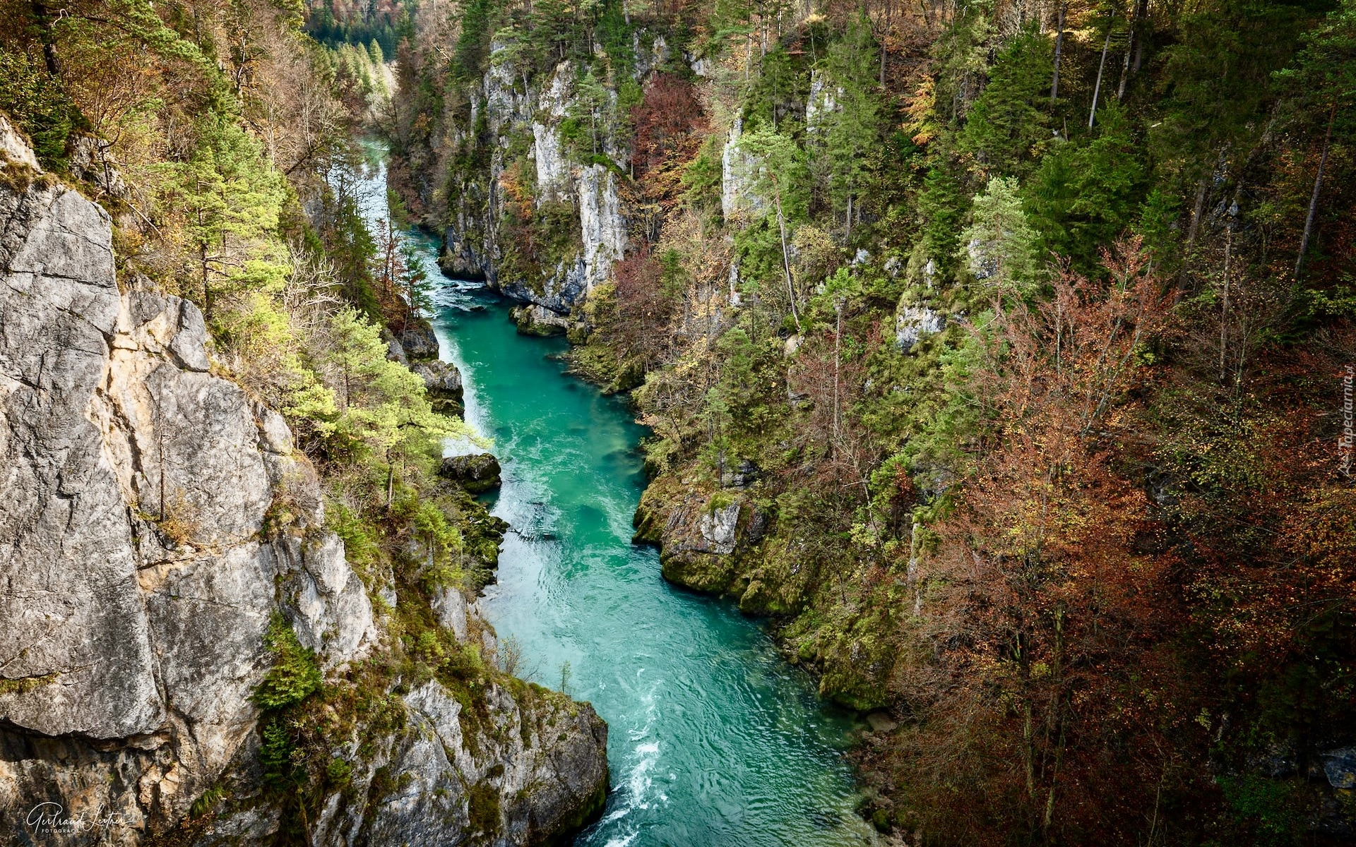 Rzeka Socza, Wąwóz, Skały, Drzewa, Triglavski Park Narodowy, Słowenia