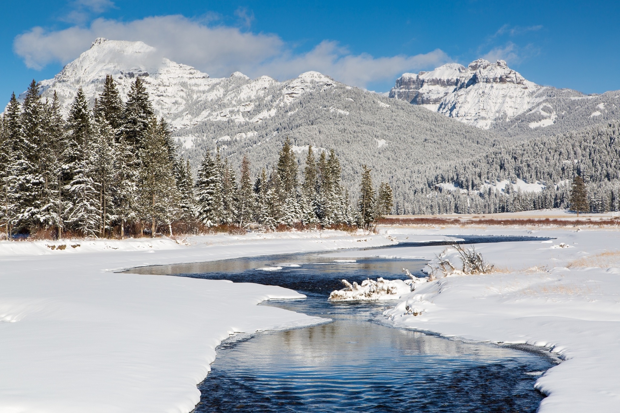 Stany Zjednoczone, Stan Wyoming, Narodowy Park Yellowstone, Rzeka Soda Butte Creek, Zima, Góry, Drzewa