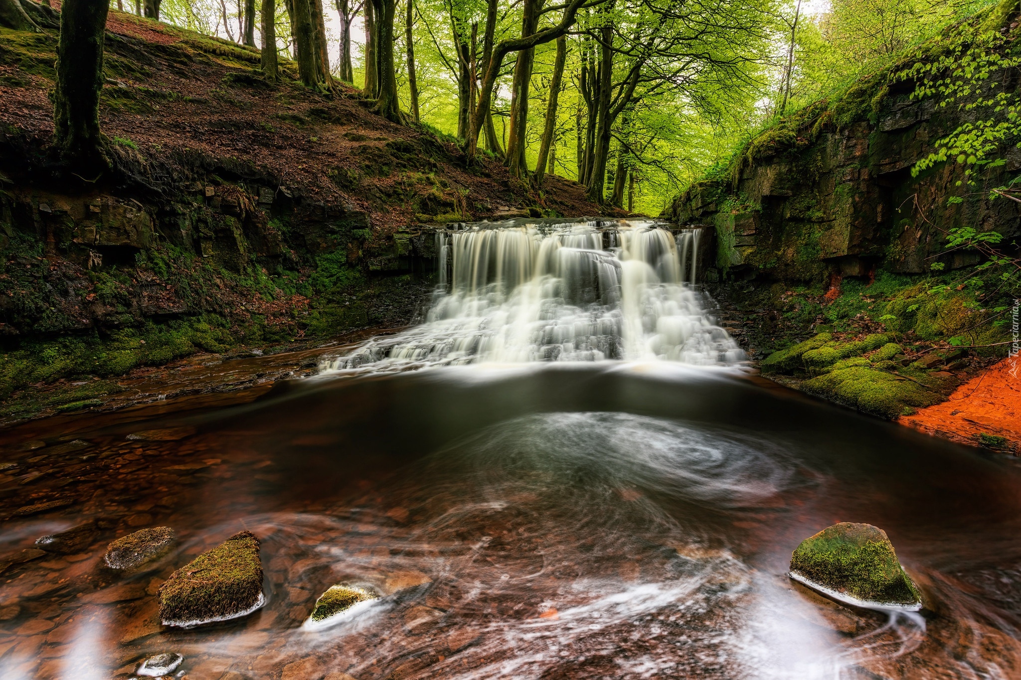 Las, Drzewa, Rzeka, Omszone, Skały, Kamienie, Wodospad, Roddlesworth Waterfall, Darwen, Anglia