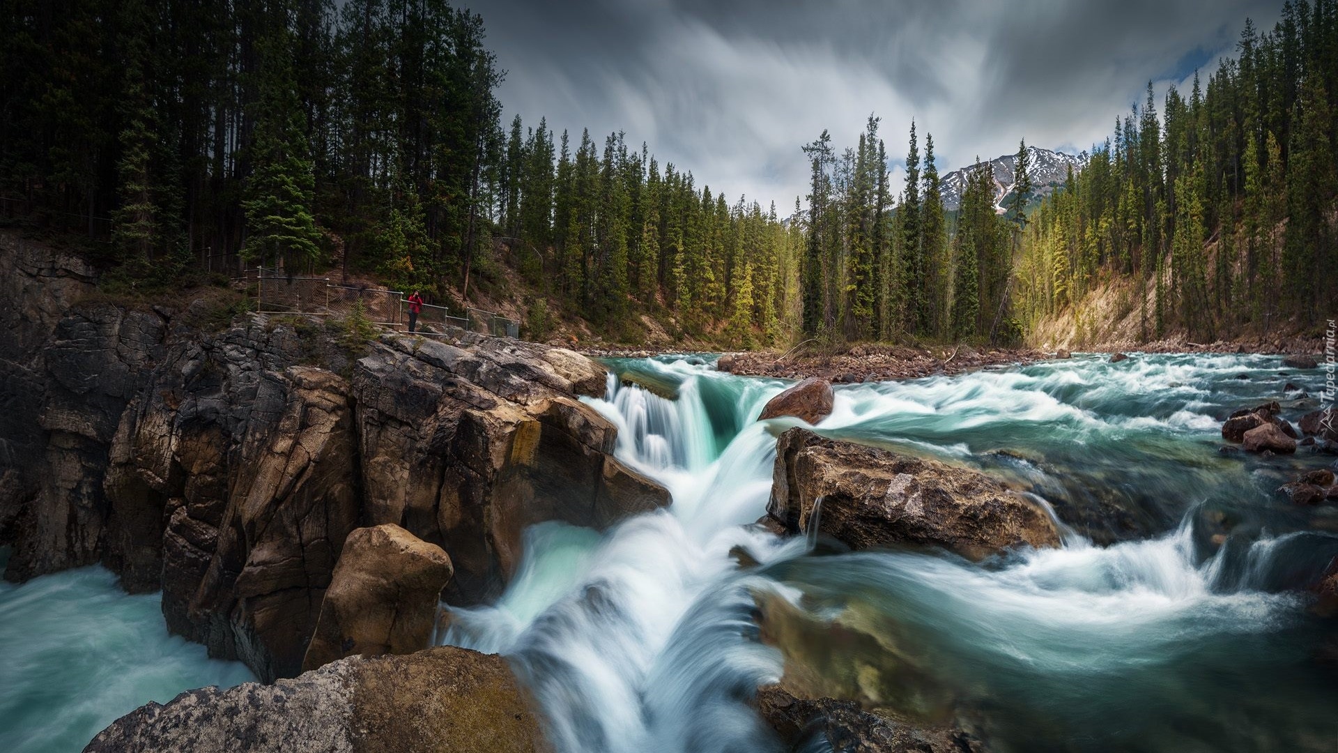 Wodospad Sunwapta Falls, Rzeka, Sunwapta River, Park Narodowy Jasper, Skały, Głazy, Drzewa, Alberta, Kanada