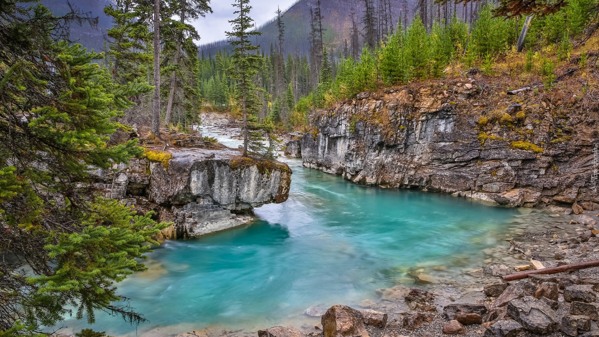Park Narodowy Kootenay, Kolumbia Brytyjska, Kanada, Rzeka, Tokumm Creek, Park prowincjonalny Marble Canyon, Skały, Góry, Drzewa, Kamienie