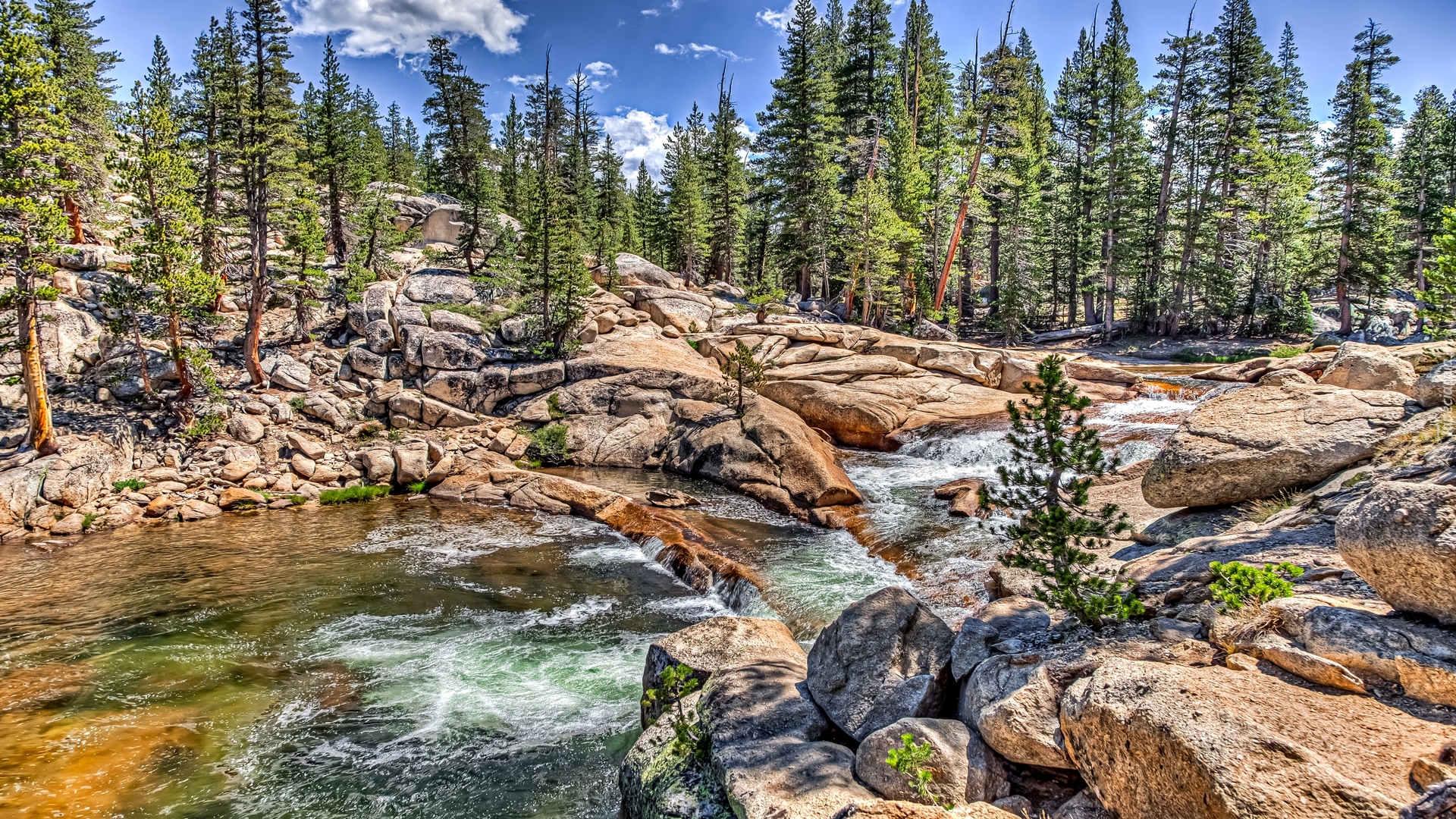 Park Narodowy Yosemite, Rzeka Tuolumne River, Stany Zjednoczone, Stan Kalifornia, Drzewa, Kamienie, Skały