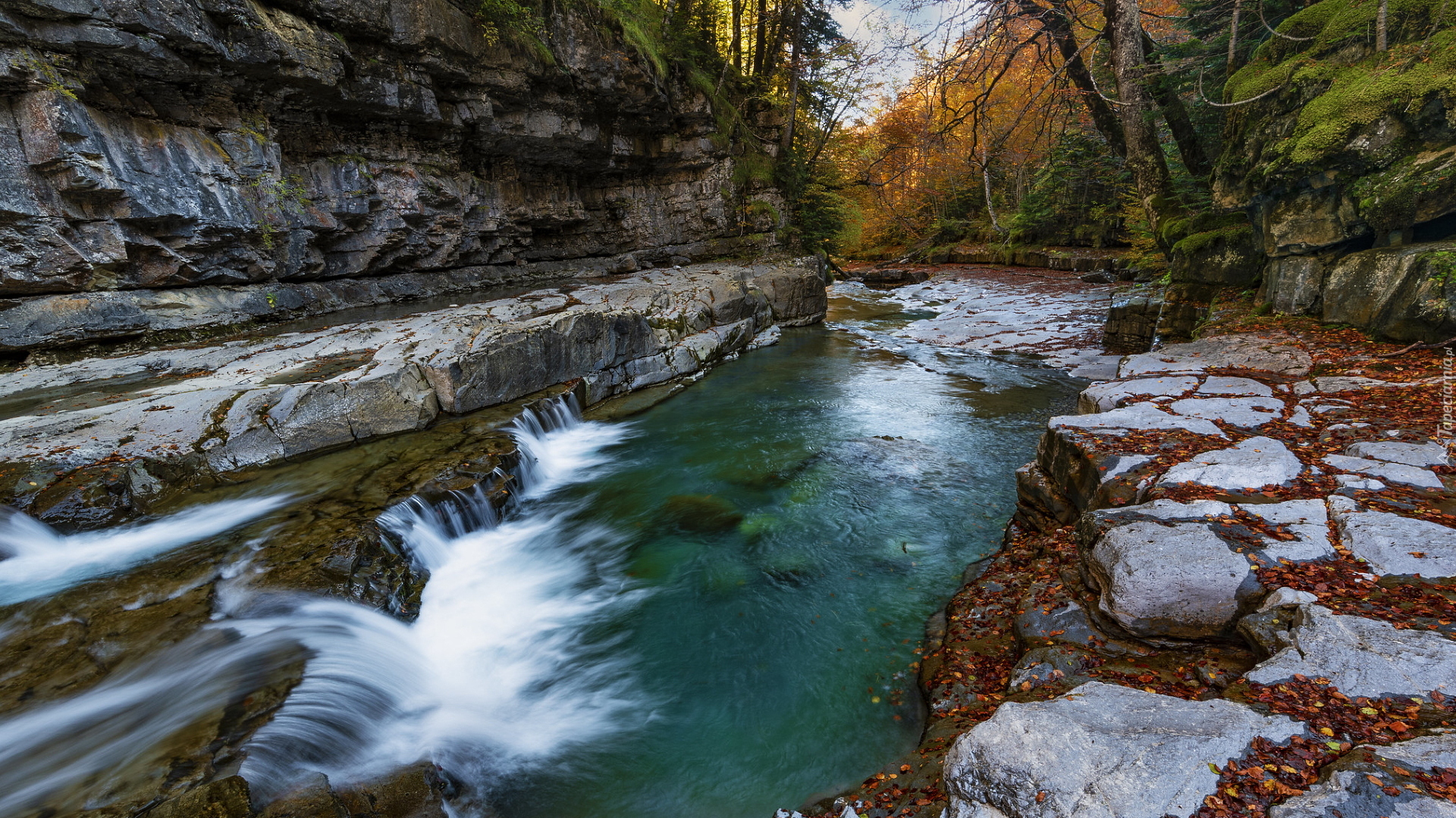 Rzeka, Vellos River, Skały, Drzewa, Kanion de Anisclo, Gmina Fanlo, Hiszpania