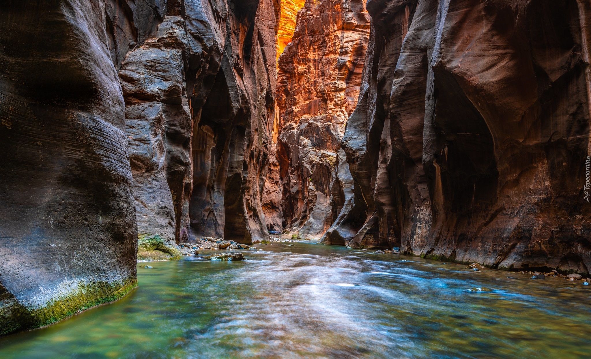 Kanion, Zion Narrows, Rzeka, Virgin, Park Narodowy Zion, Stan Utah, Stany Zjednoczone