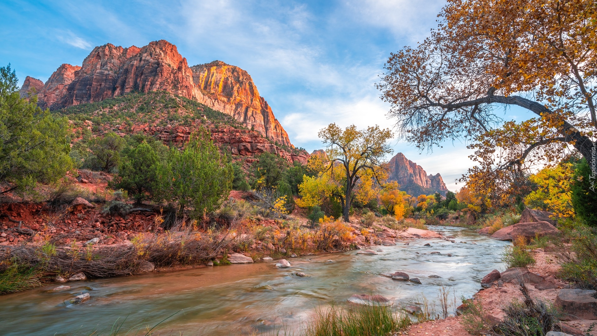 Park Narodowy Zion, Góry Watchman, Drzewa, Rzeka, Virgin River, Kamienie, Stan Utah, Stany Zjednoczone