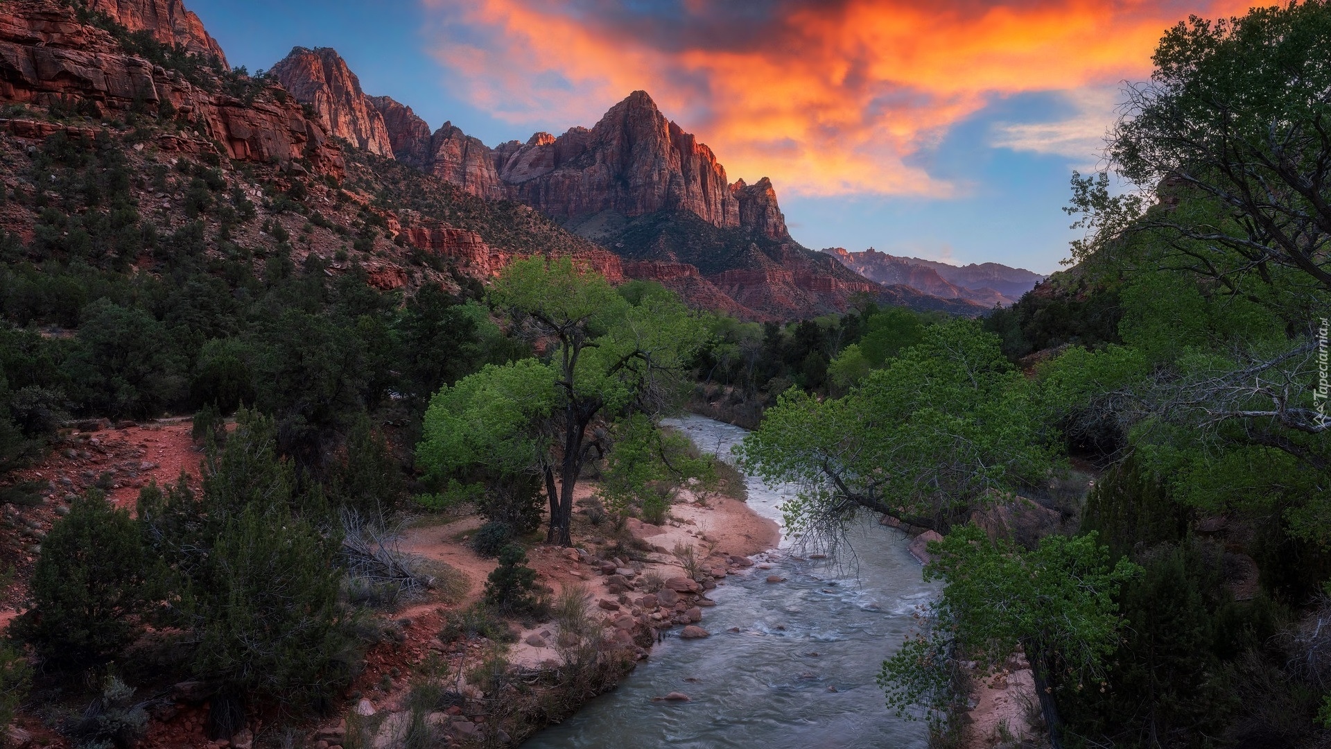 Góra Watchman, Rzeka, Virgin River, Drzewa, Chmury, Park Narodowy Zion, Utah, Stany Zjednoczone