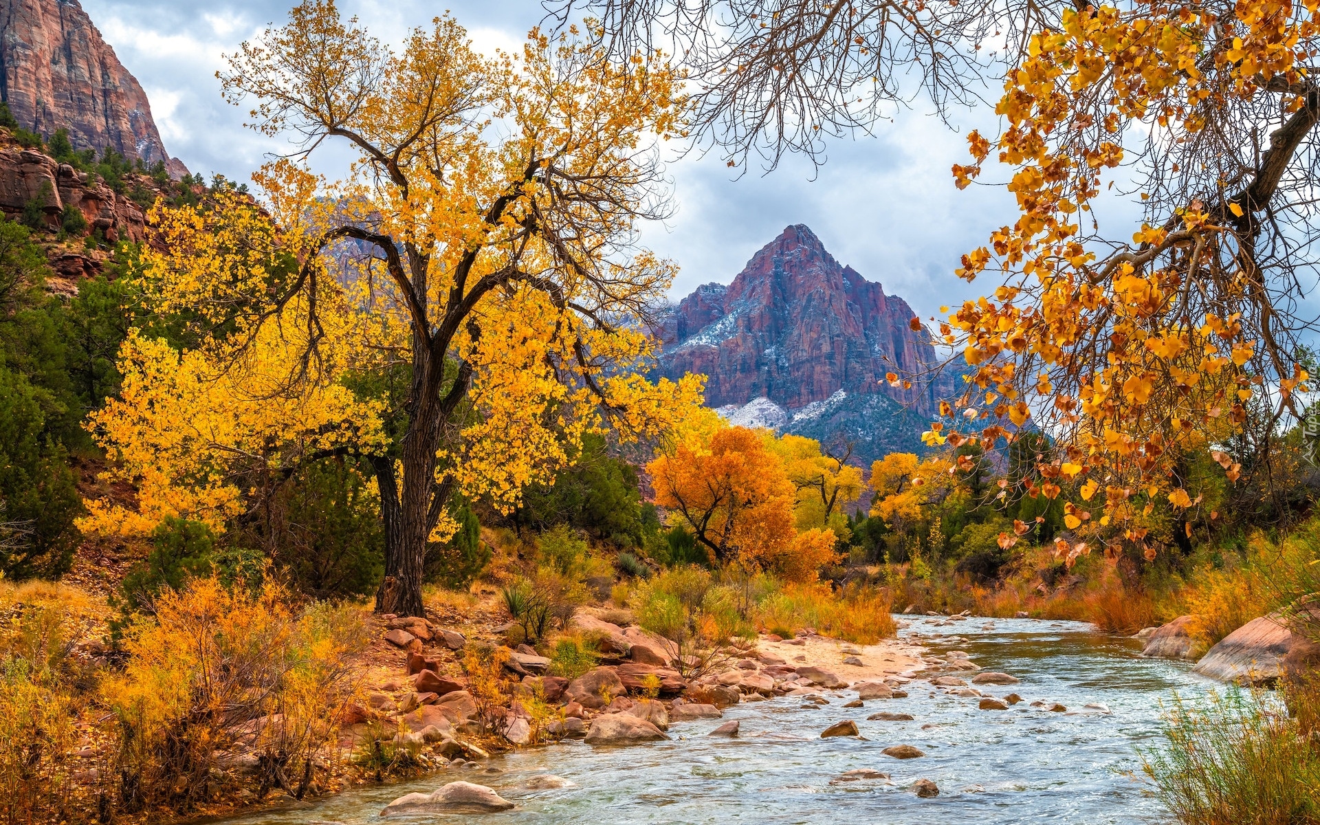 Park Narodowy Zion, Góra Watchman, Rzeka, Virgin River, Kamienie, Drzewa, Jesień, Stan Utah, Stany Zjednoczone