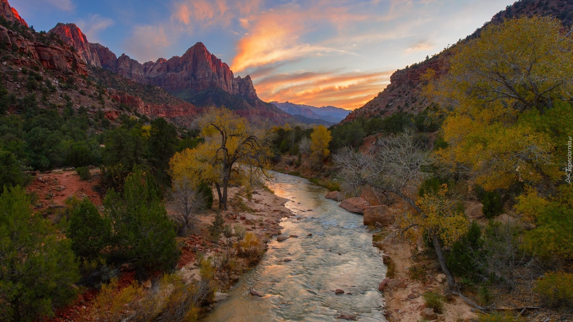 Stany Zjednoczone, Stan Utah, Park Narodowy Zion, Góry, Góra Watchman, Rzeka, Virgin River, Drzewa, Zachód słońca