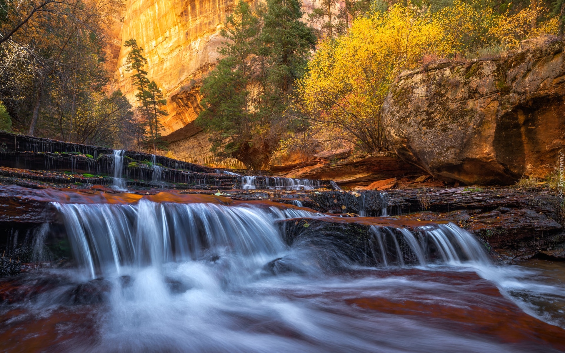 Stany Zjednoczone, Stan Utah, Park Narodowy Zion, Kanion Zion Narrows, Skały, Drzewa, Rzeka Virgin River