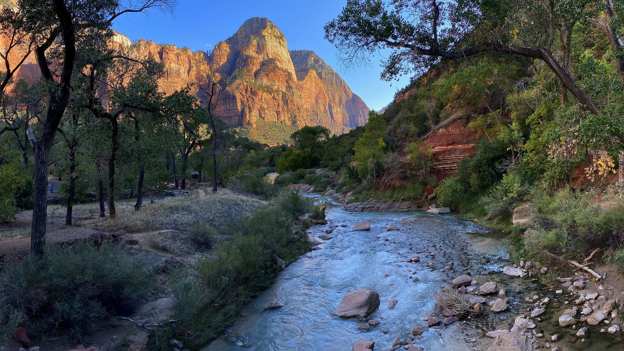 Góry, Rzeka, Virgin, Drzewa, Kamienie, Park Narodowy Zion, Utah, Stany Zjednoczone