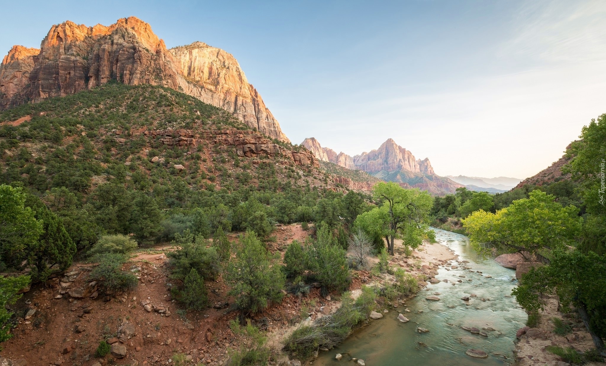 Stany Zjednoczone, Stan Utah, Park Narodowy Zion, Góra Watchman, Góry, Rzeka Virgin River, Drzewa