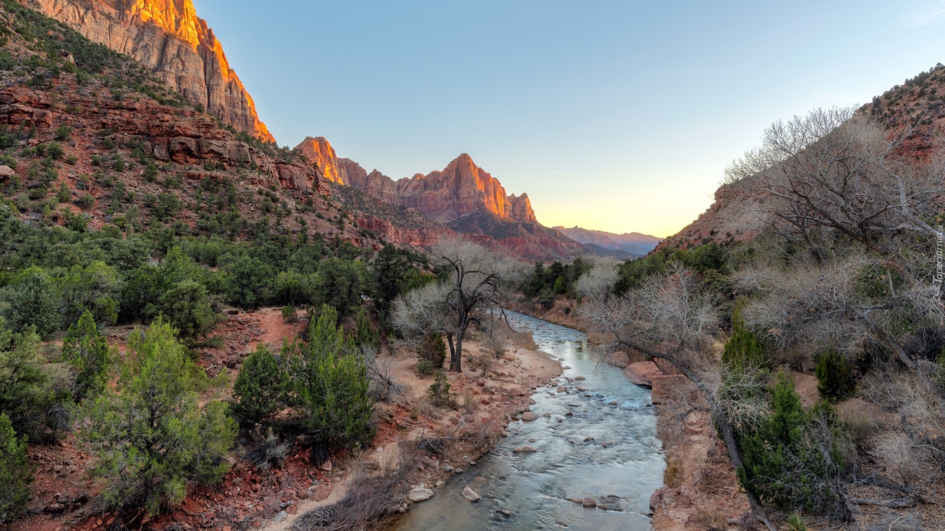 Park Narodowy Zion, Góry Watchman, Drzewa, Rzeka Virgin River, Stan Utah, Stany Zjednoczone