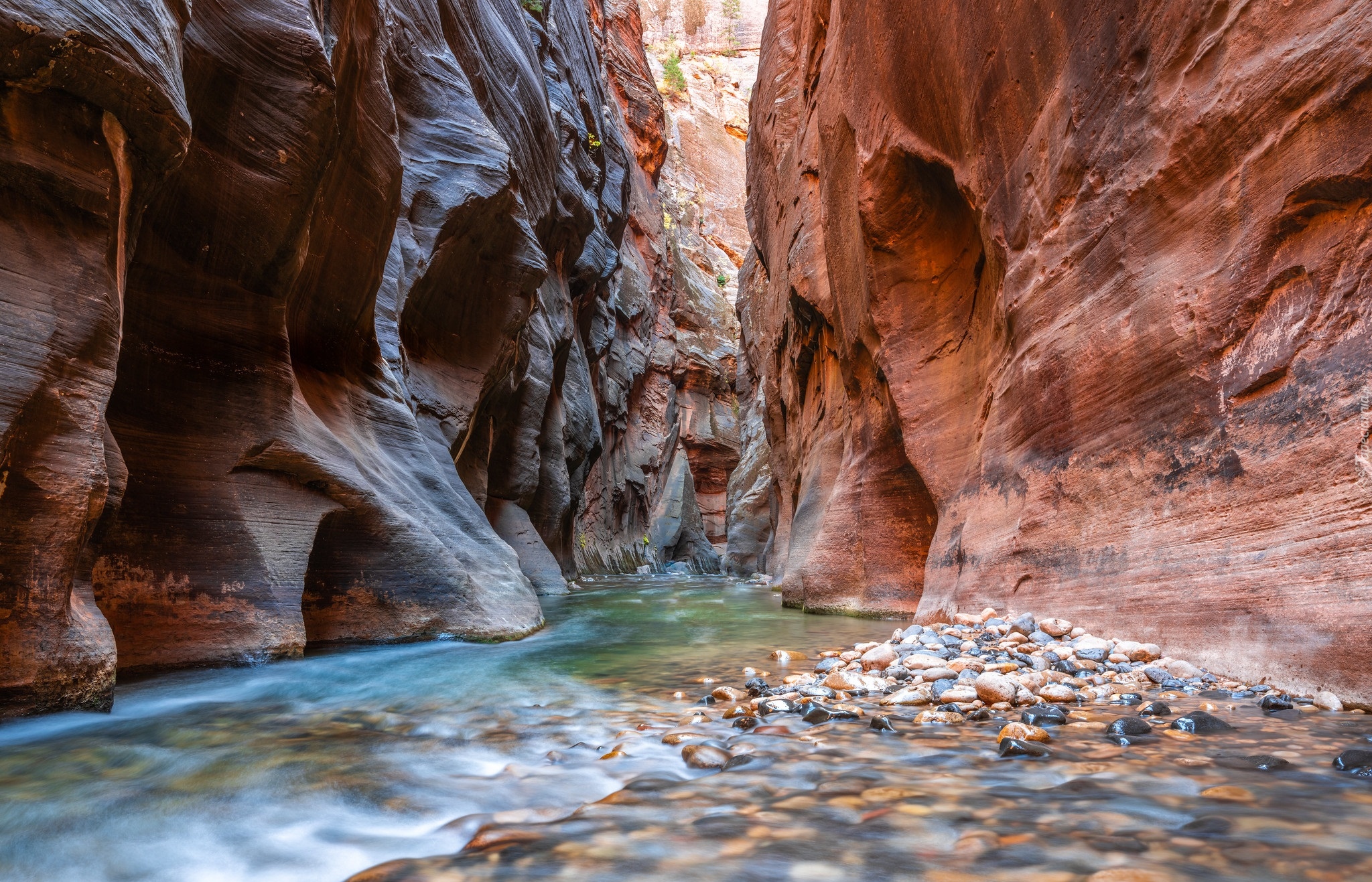 Kanion, Zion Narrows, Rzeka, Virgin River, Park Narodowy Zion, Stan Utah, Stany Zjednoczone