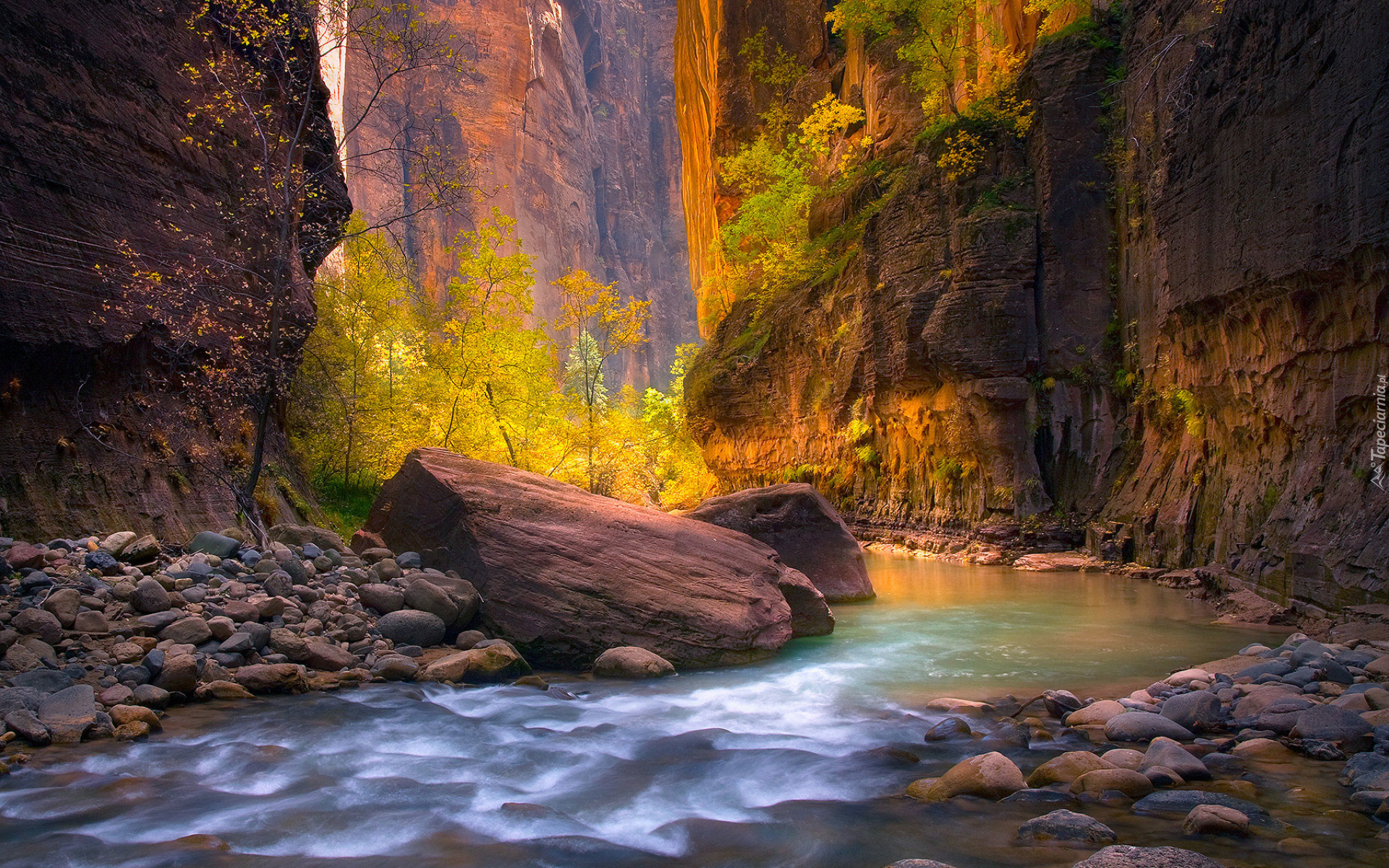 Stany Zjednoczone, Stan Utah, Park Narodowy Zion, Kanion Zion Narrows, Skały, Drzewa, Kamienie, Rzeka Virgin River