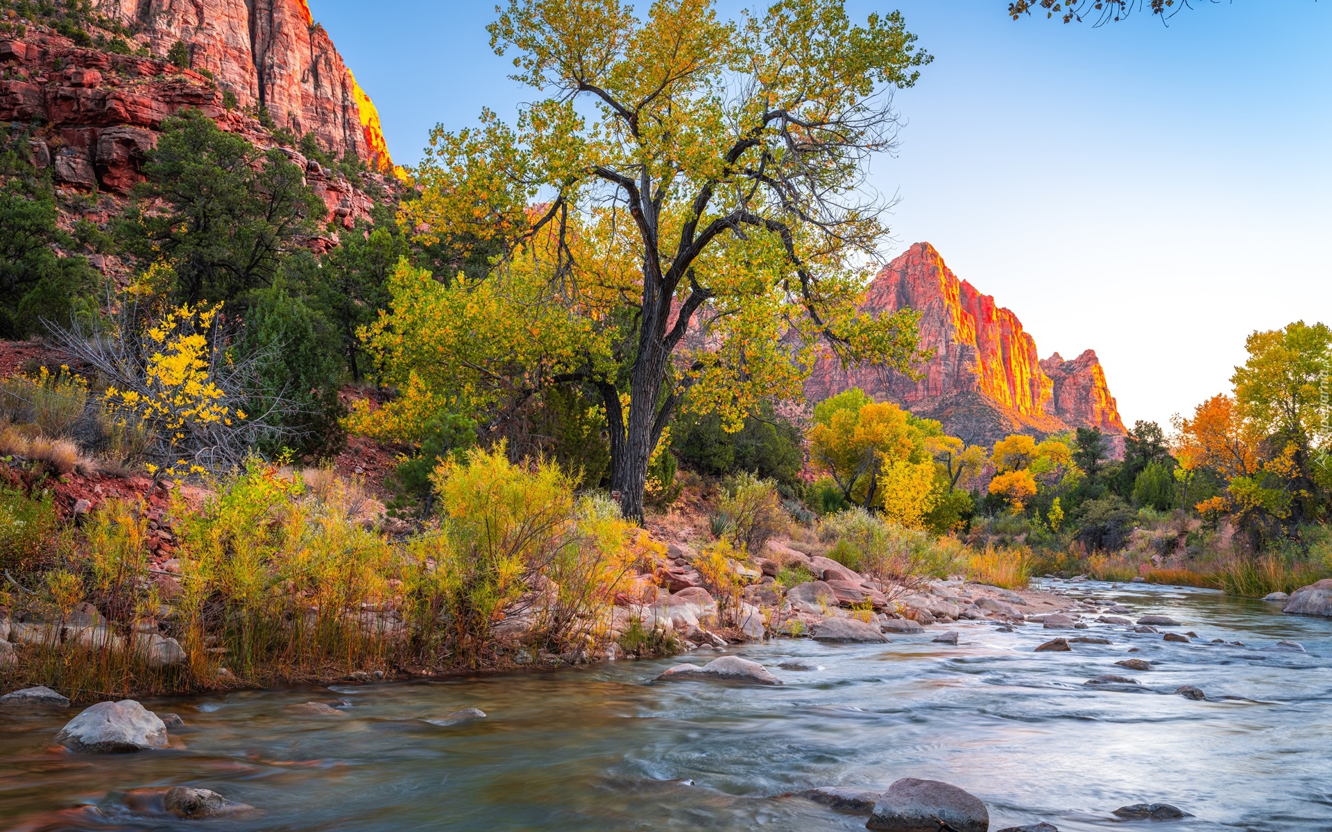 Park Narodowy Zion, Góry Watchman, Drzewa, Rzeka, Kamienie, Virgin River, Stan Utah, Stany Zjednoczone