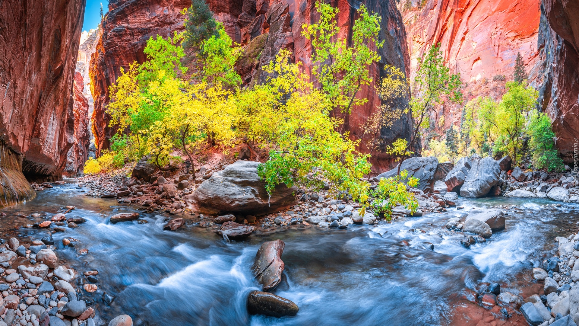 Stany Zjednoczone, Stan Utah, Park Narodowy Zion, Kanion Zion Narrows, Skały, Kamienie, Rzeka Virgin River, Roślinność