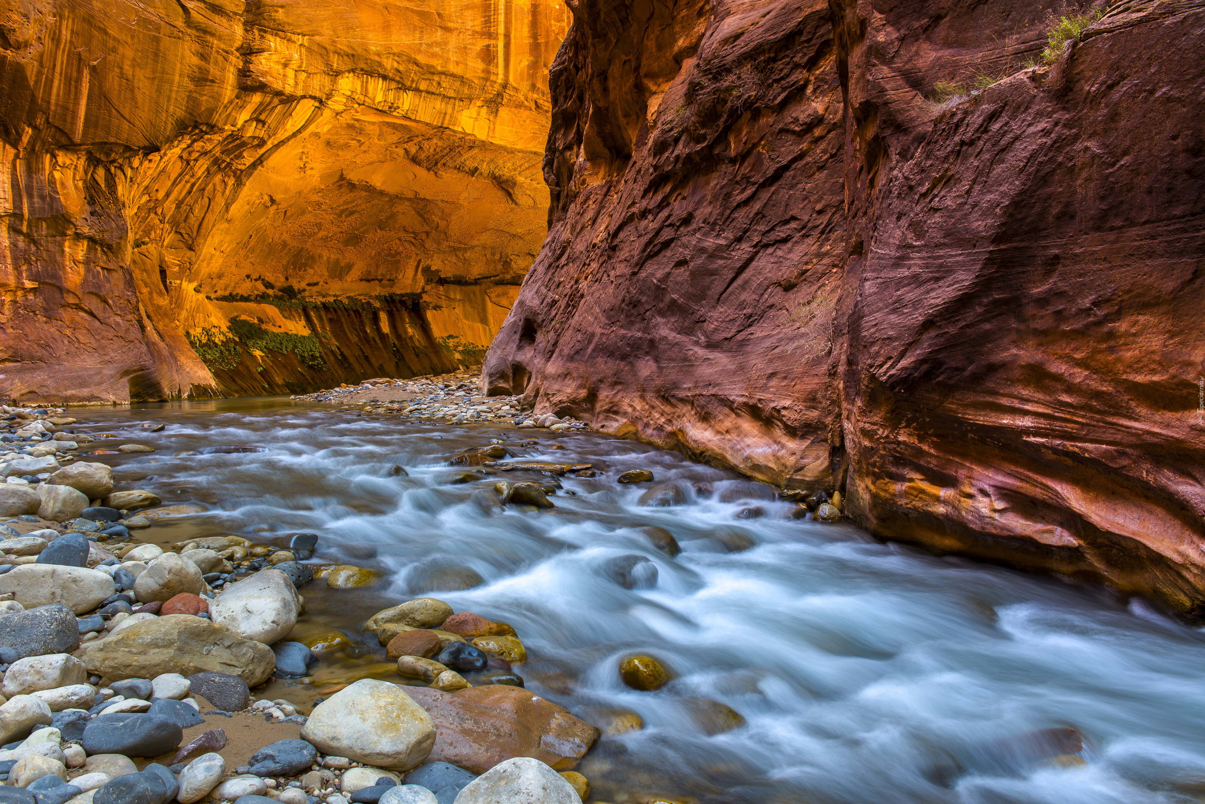 Stany Zjednoczone, Stan Utah, Park Narodowy Zion, Kanion Zion Narrows, Skały, Rzeka Virgin River