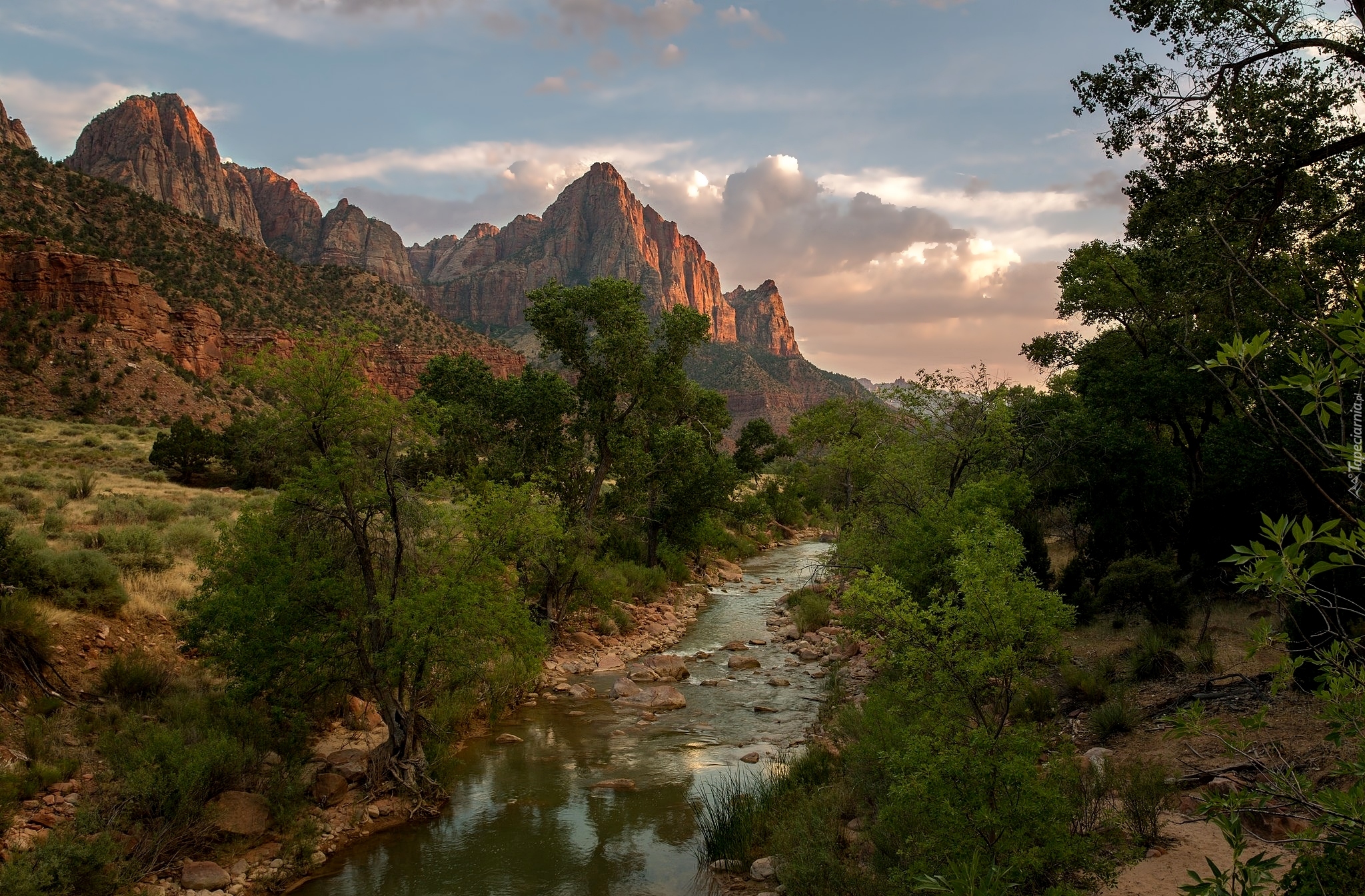 Park Narodowy Zion, Góry Watchman, Rzeka Virgin River, Stan Utah, Stany Zjednoczone, Drzewa