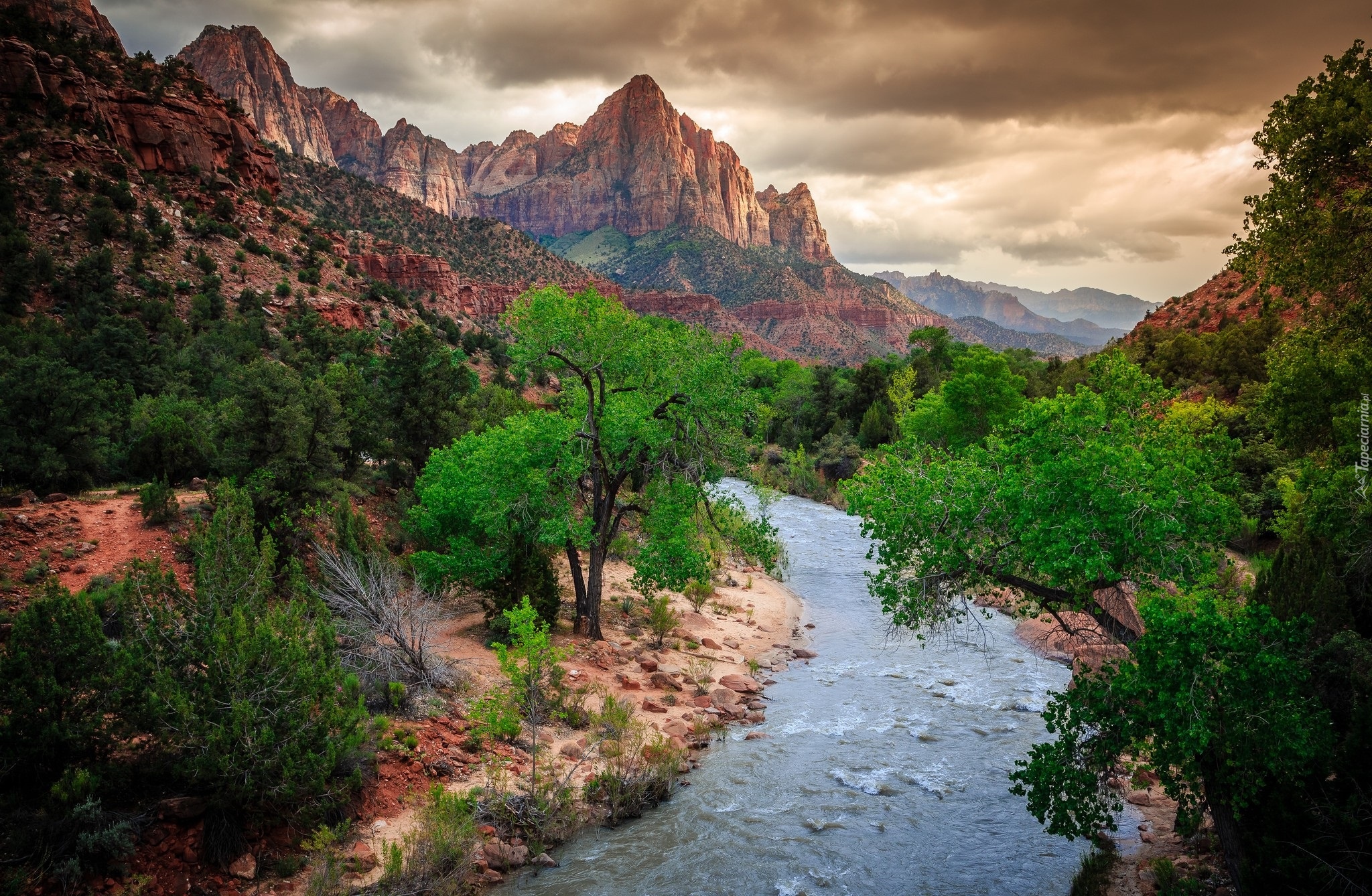 Stany Zjednoczone, Stan Utah, Park Narodowy Zion, Góra Watchman, Rzeka Virgin River, Drzewa, Góry