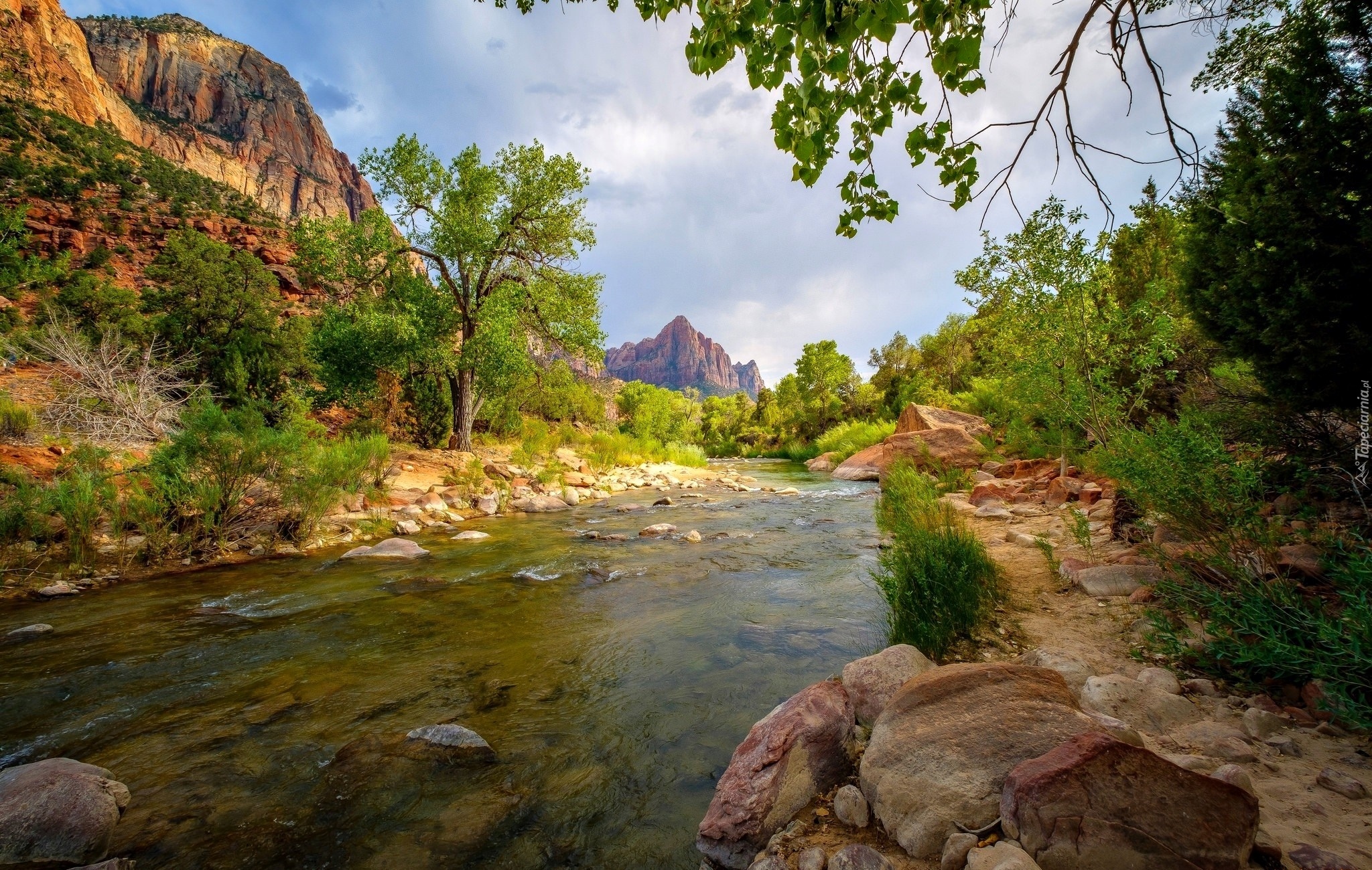 Park Narodowy Zion, Góry Watchman, Rzeka Virgin River, Kamienie, Drzewa, Stan Utah, Stany Zjednoczone