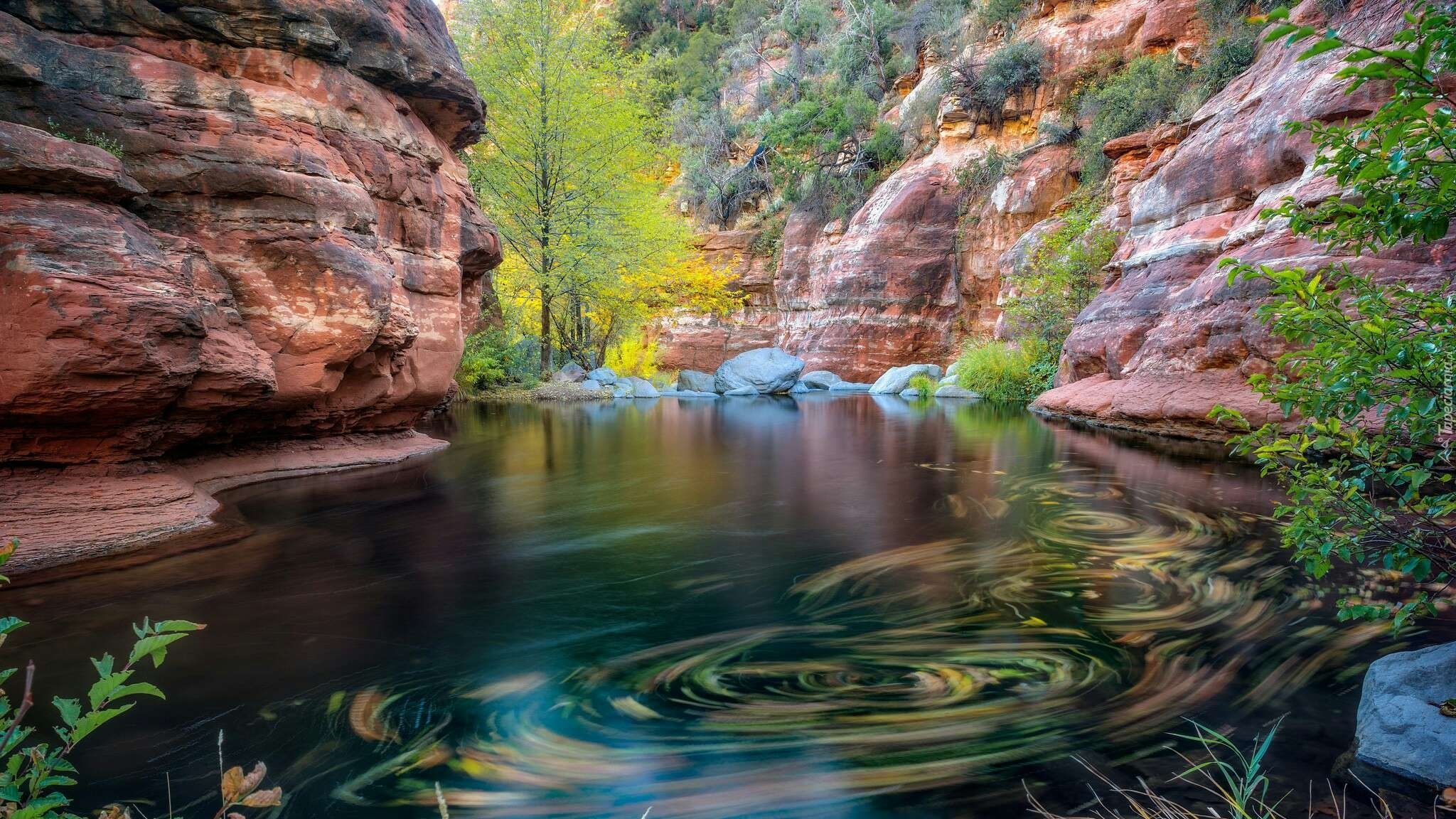 Stany Zjednoczone, Arizona, Sedona, Wąwóz Oak Creek Canyon, Rzeka Oak Creek, Skały, Drzewa