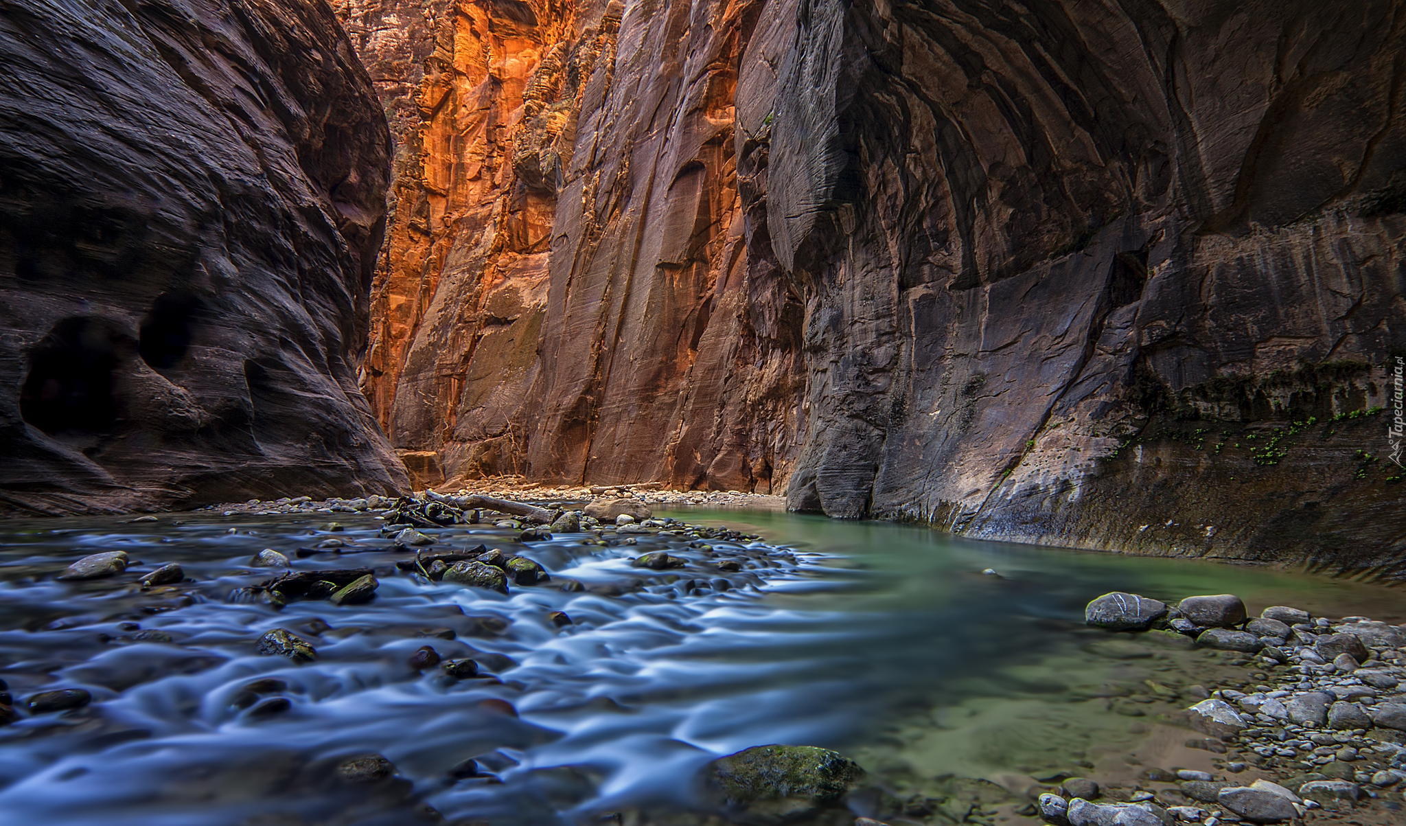 Stany Zjednoczone, Stan Utah, Park Narodowy Zion, Kanion, Rzeka Virgin, Kamienie