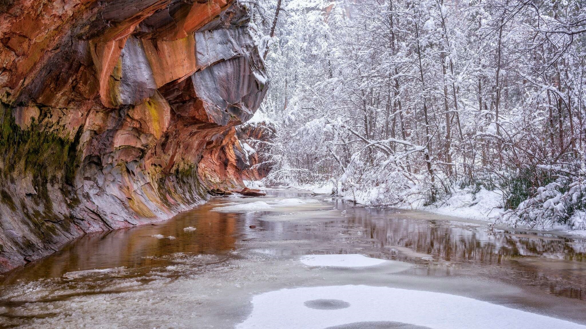 Stany Zjednoczone, Arizona, Sedona, Rzeka Oak Creek, Szlak West Fork Oak Creek Trail, Zima, Skały, Ośnieżone, Drzewa