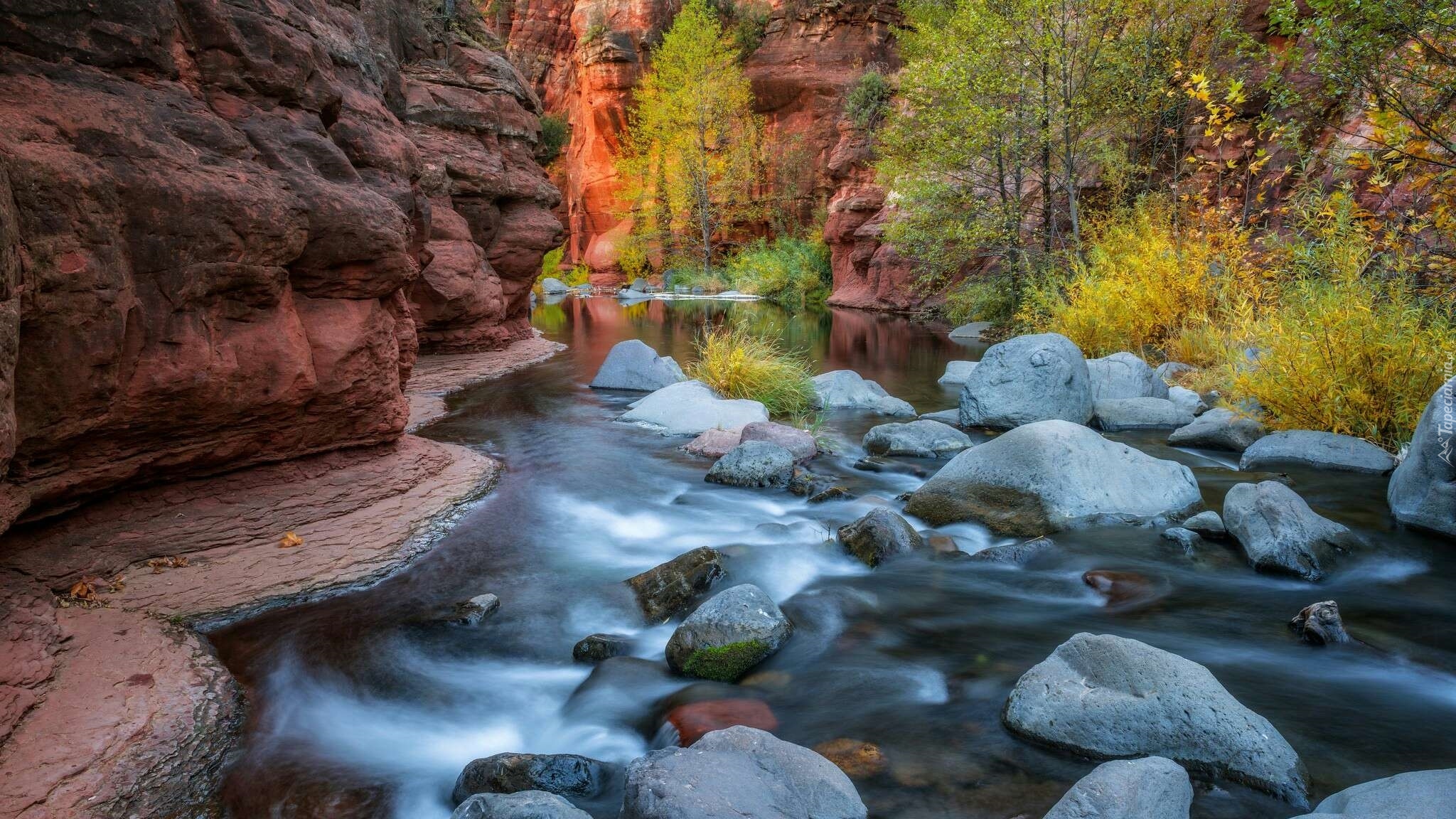 Stany Zjednoczone, Arizona, Sedona, Wąwóz Oak Creek Canyon, Rzeka Oak Creek, Skały, Kamienie, Drzewa