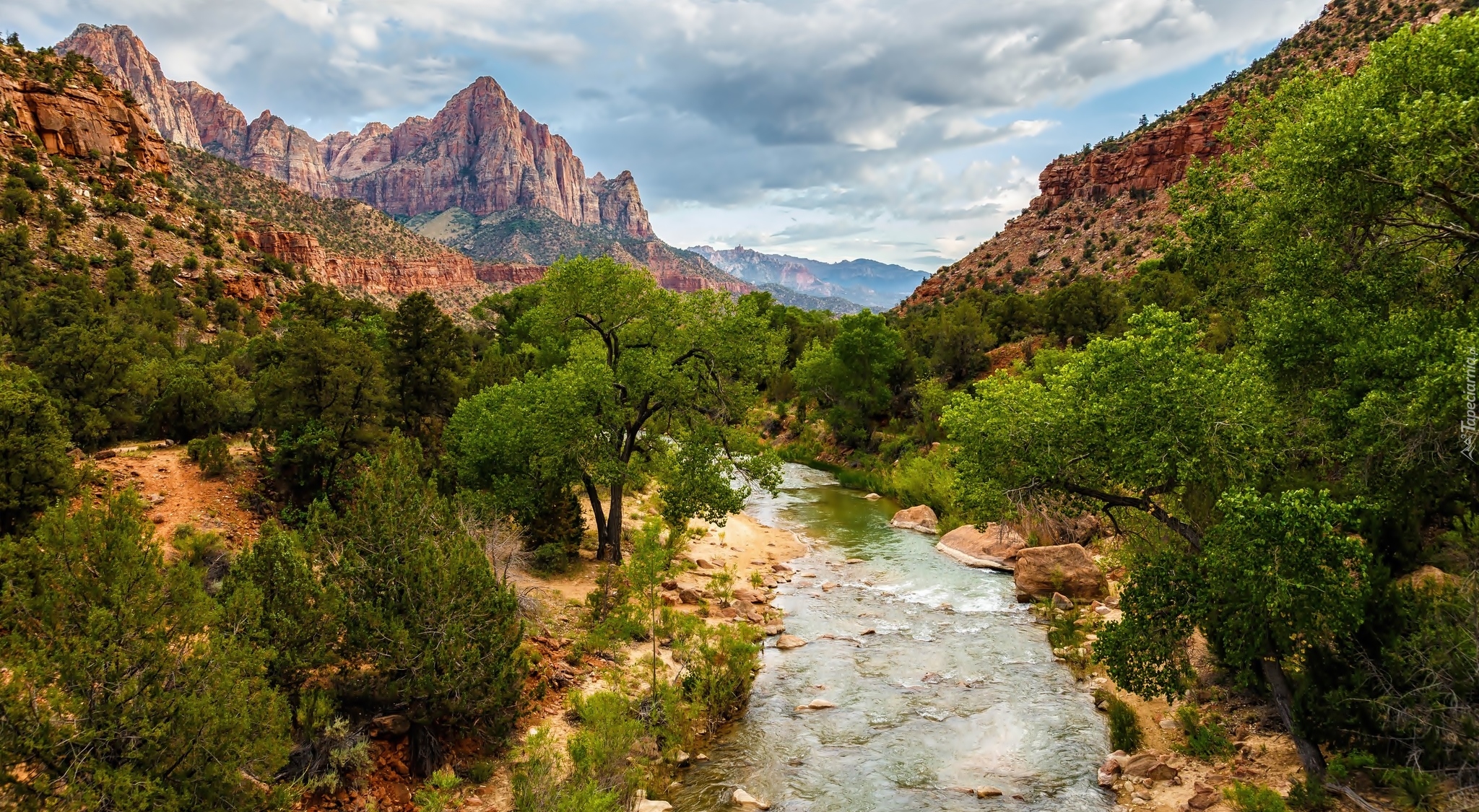 Stany Zjednoczone, Stan Utah, Park Narodowy Zion, Góry, Góra Watchman, Rzeka Virgin River, Drzewa