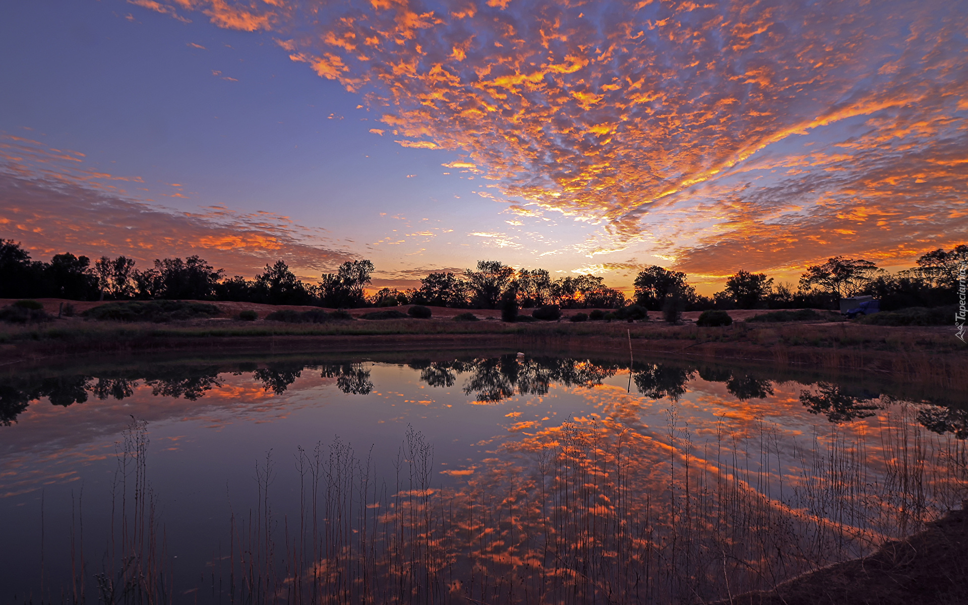 Australia, Stan Australia Południowa, Region Riverland, Zachód słońca, Rzeka, Drzewa, Chmury, Odbicie, Niebo