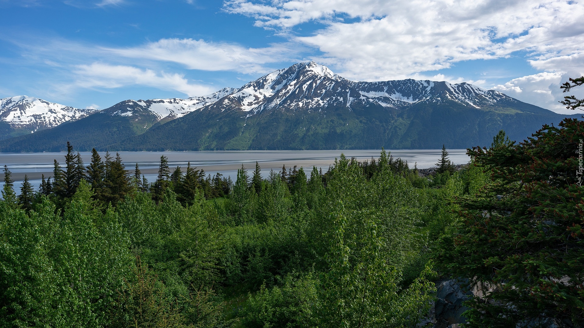 Góry, Kenai Mountains, Rzeka, Drzewa, Bird Point Park, Turnagain Arm, Anchorage, Alaska, Stany Zjednoczone