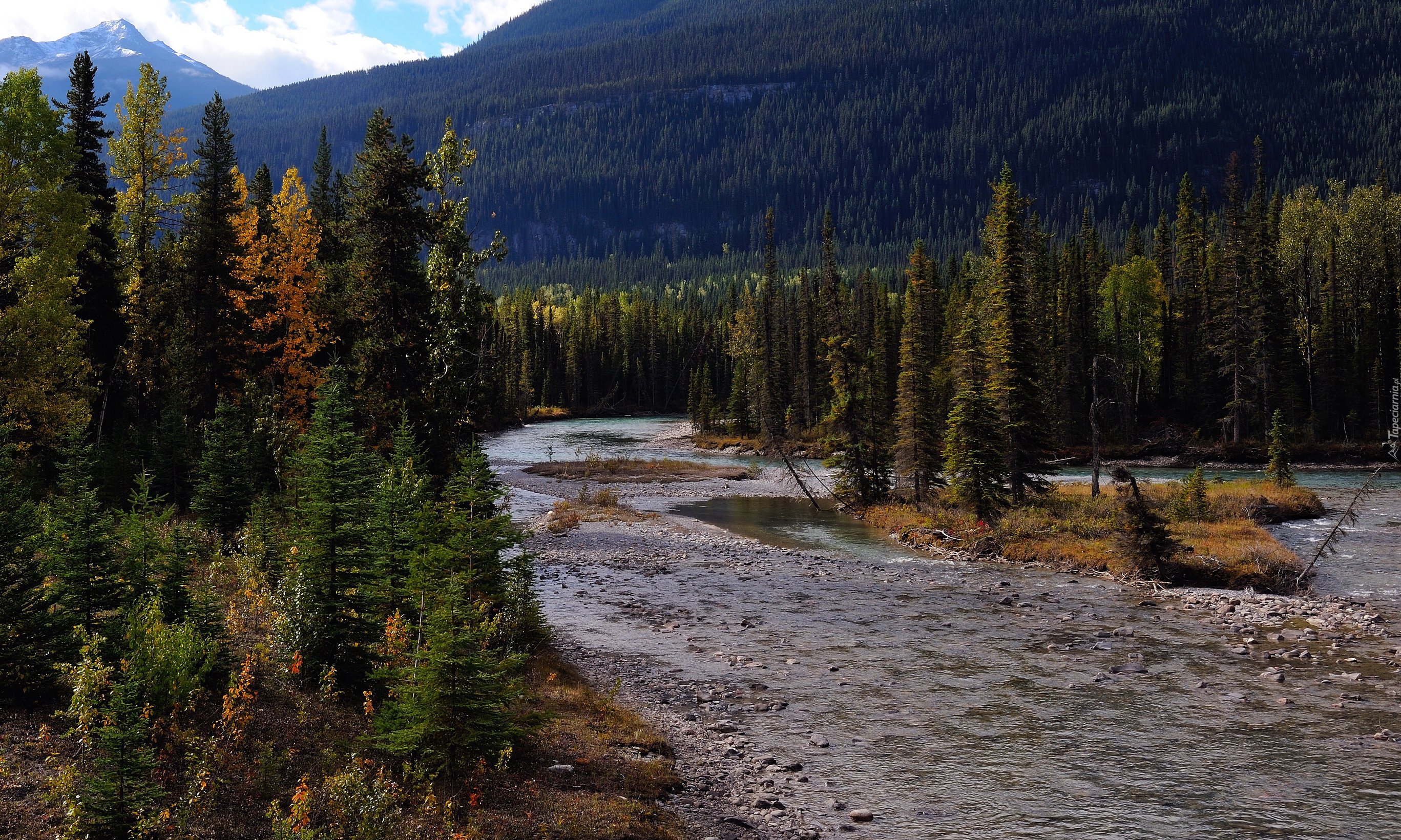 Kanada, Mount Robson Provincial Park, Rzeka, Drzewa, Góry