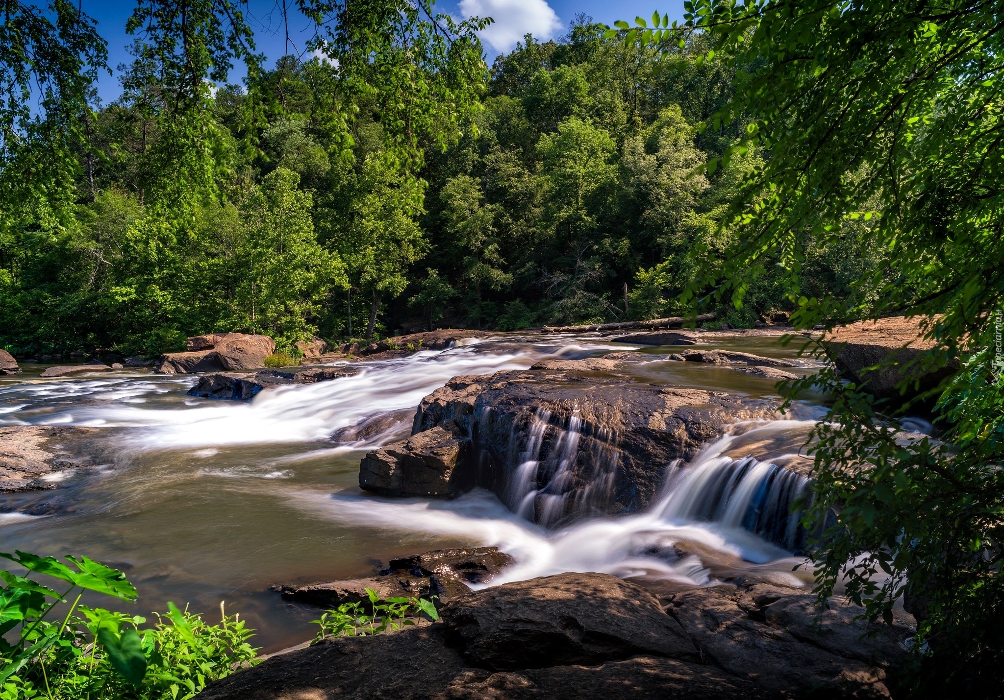 Stany Zjednoczone, Stan Georgia, High Falls State Park, Drzewa, Rzeka, Kamienie