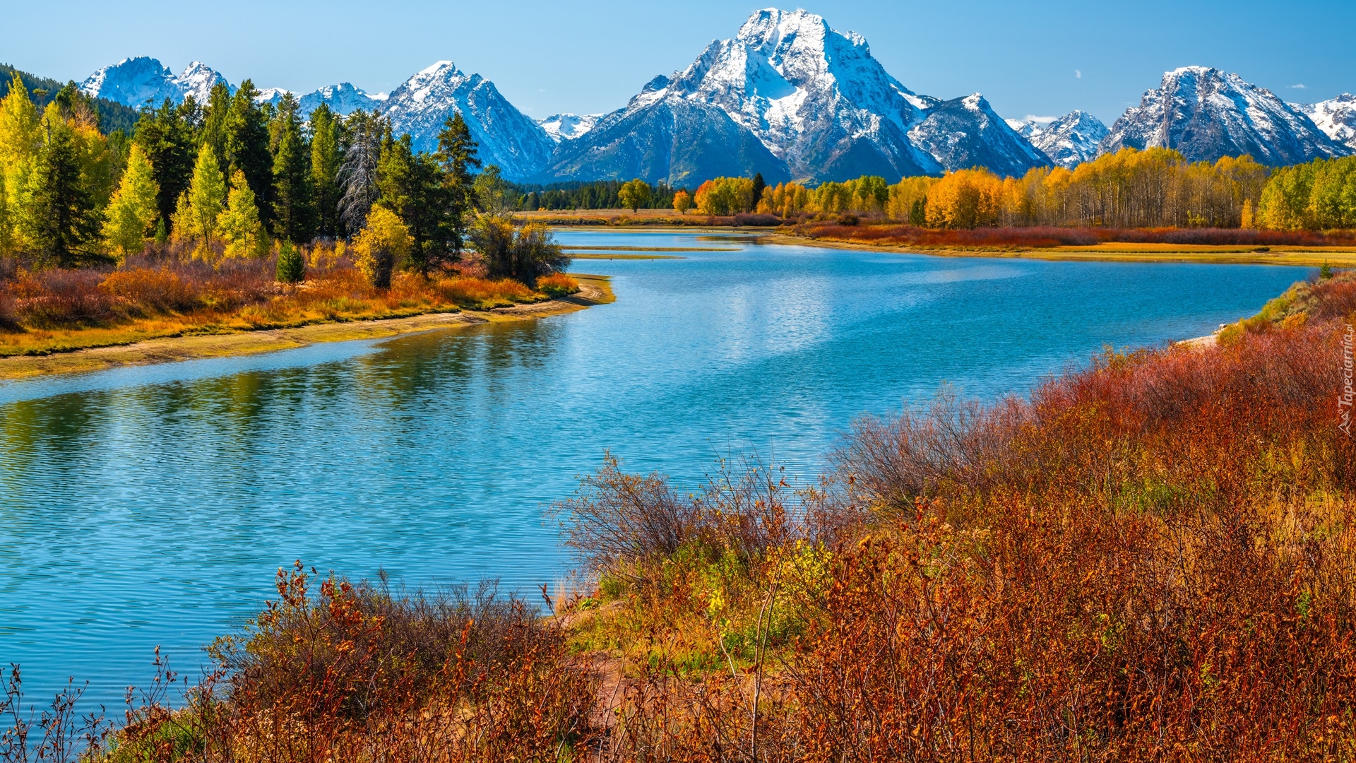 Park Narodowy Grand Teton, Rzeka, Snake River, Góry, Teton Range, Drzewa, Trawy, Jesień, Stan Wyoming, Stany Zjednoczone