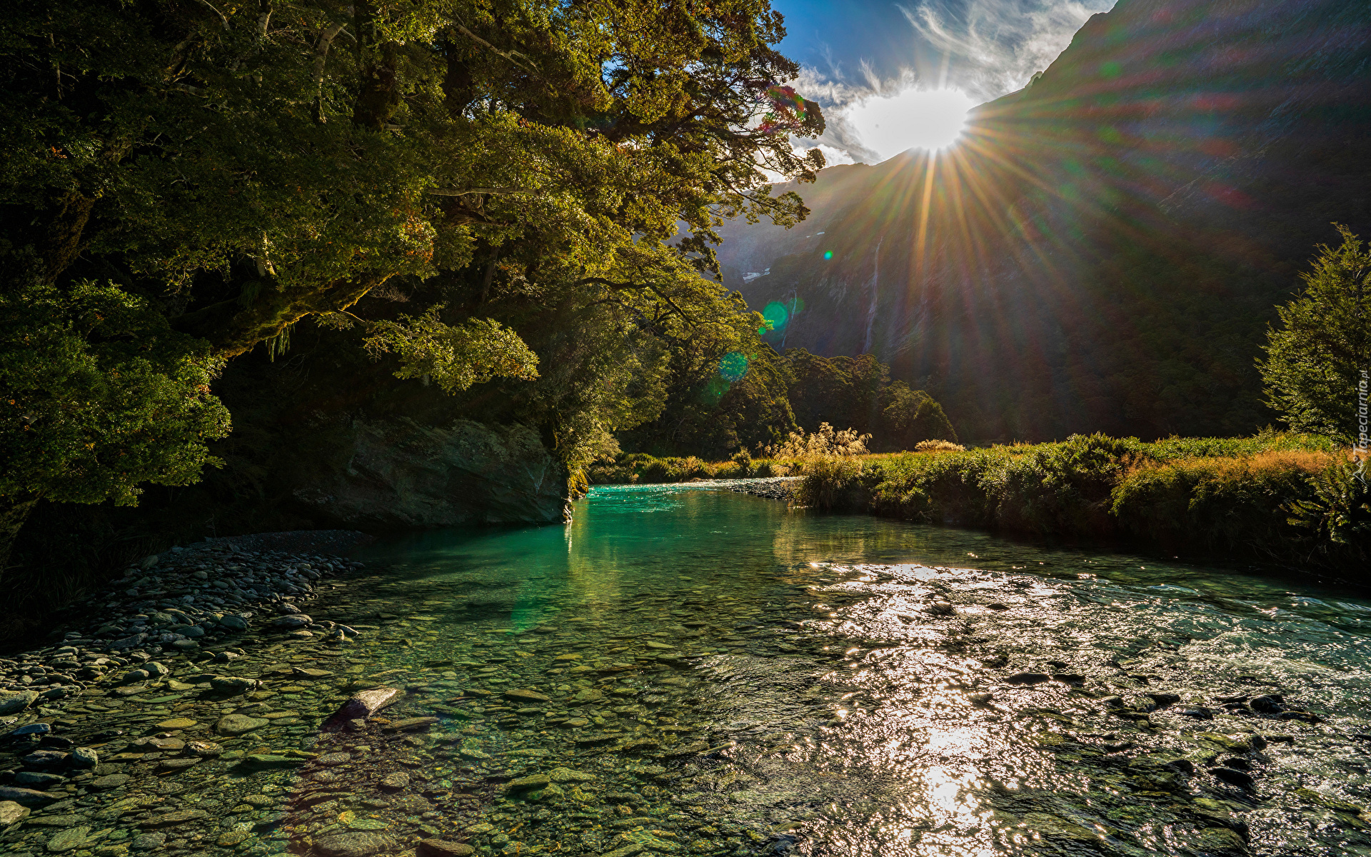 Nowa Zelandia, Park Narodowy Mount Aspiring, Góry, Drzewa, Promienie słoneczne, Poranek, Rzeka, Kamienie, Roślinność