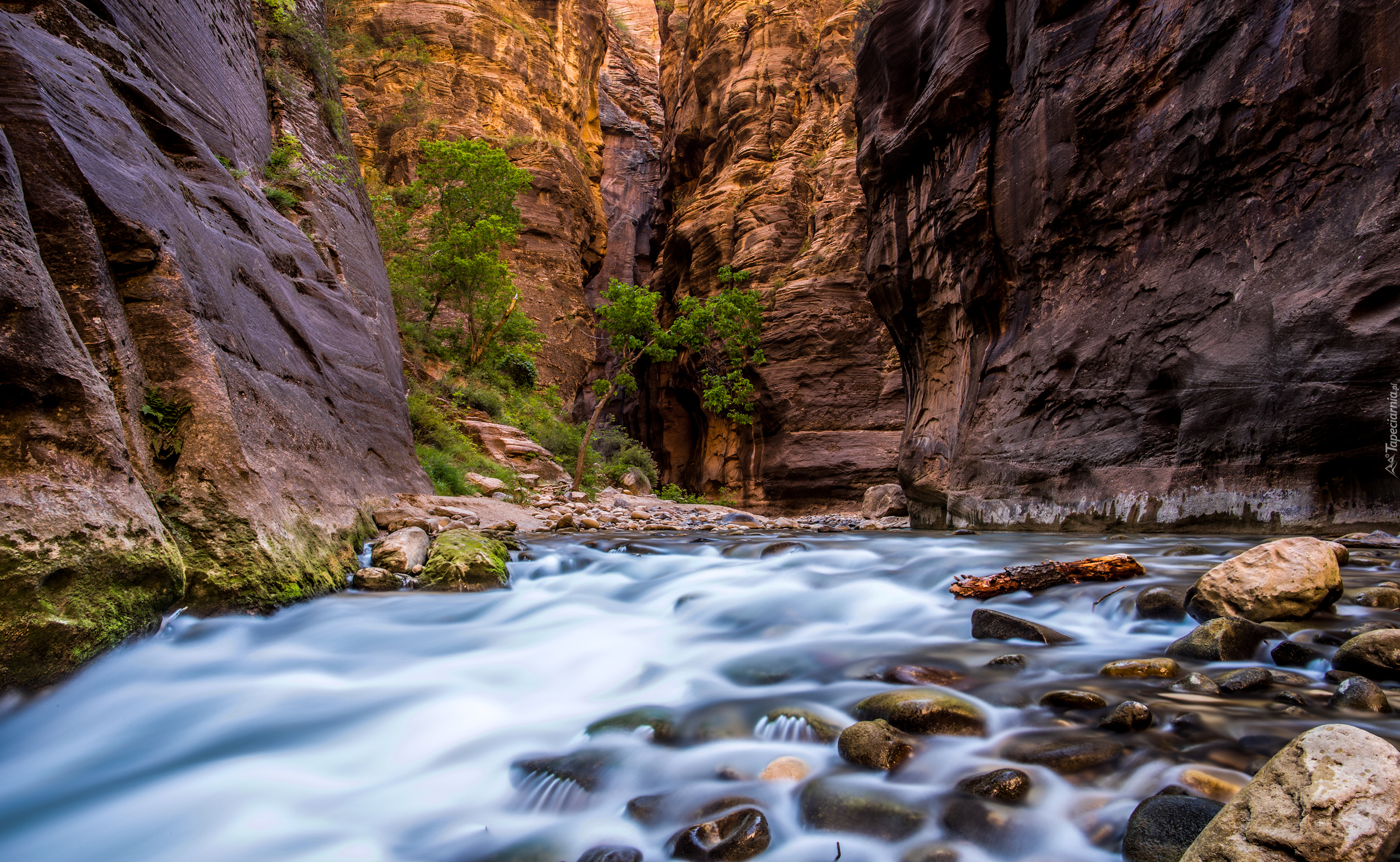 Stany Zjednoczone, Stan Utah, Park Narodowy Zion, Kanion Zion Narrows, Skały, Rzeka Virgin River