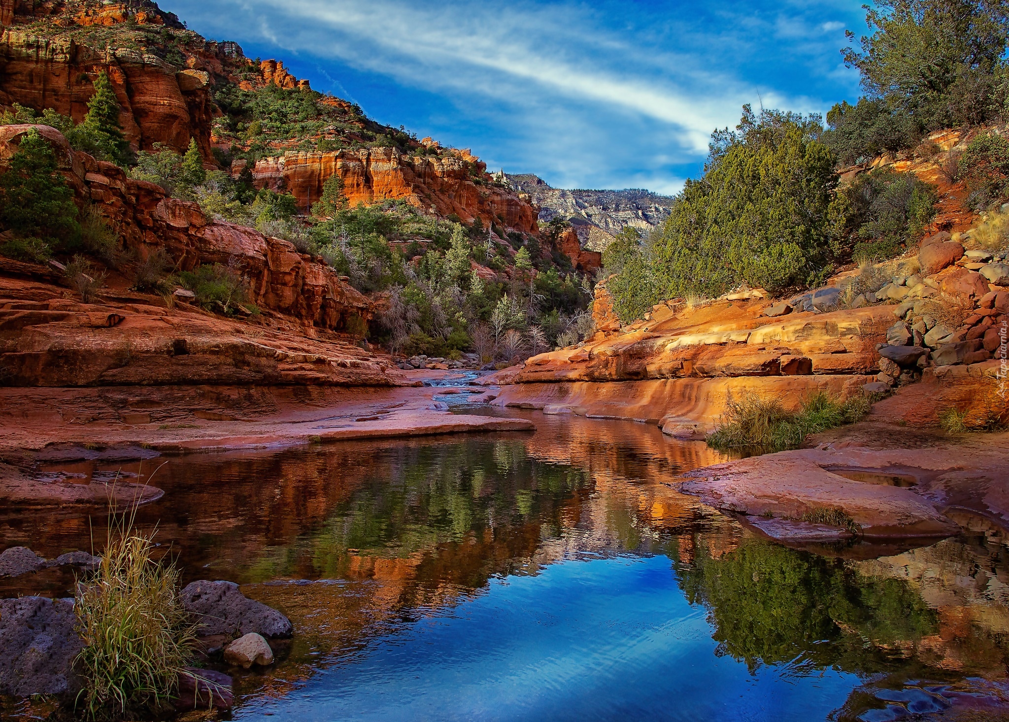 Stany Zjednoczone, Stan Arizona, Park stanowy Slide Rock, Kanion, Rzeka, Skały, Drzewa