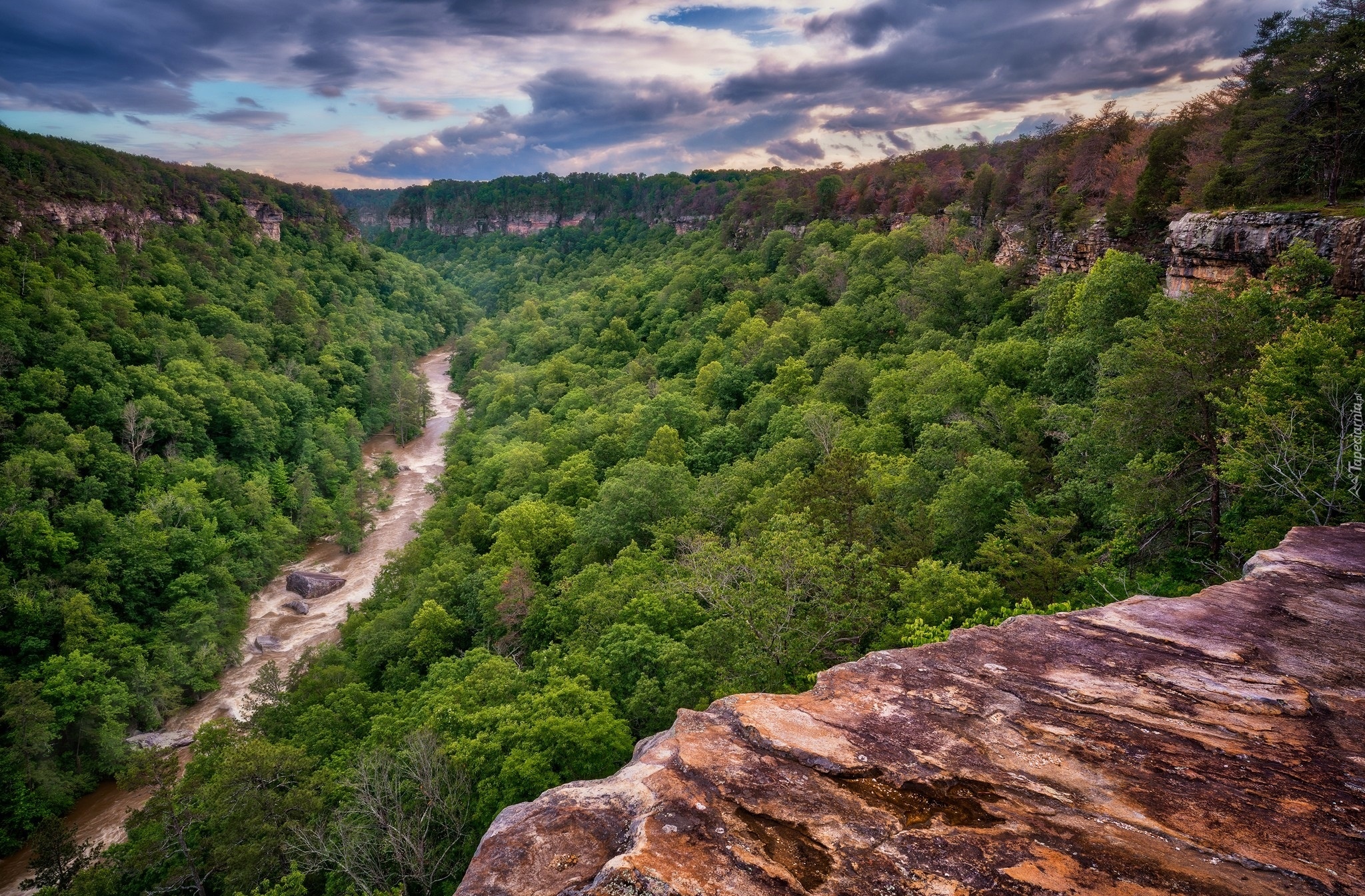 Stany Zjednoczone, Stan Alabama, Rezerwat Narodowy Little River Canyon, Rzeka, Drzewa, Skały