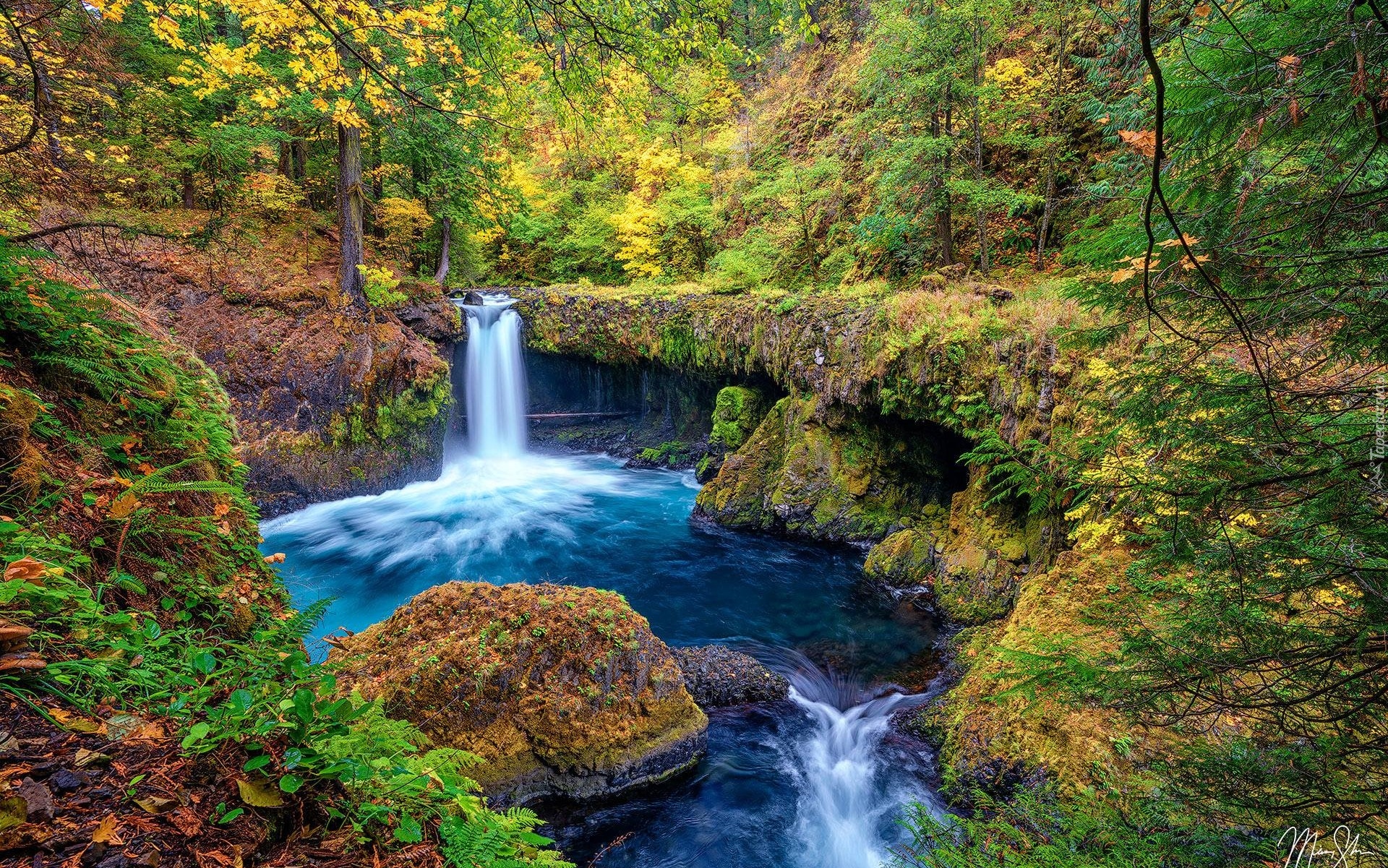 Rzeka, Rezerwat przyrody, Columbia River Gorge, Drzewa, Krzewy, Skały, Jesień, Oregon, Stany Zjednoczone