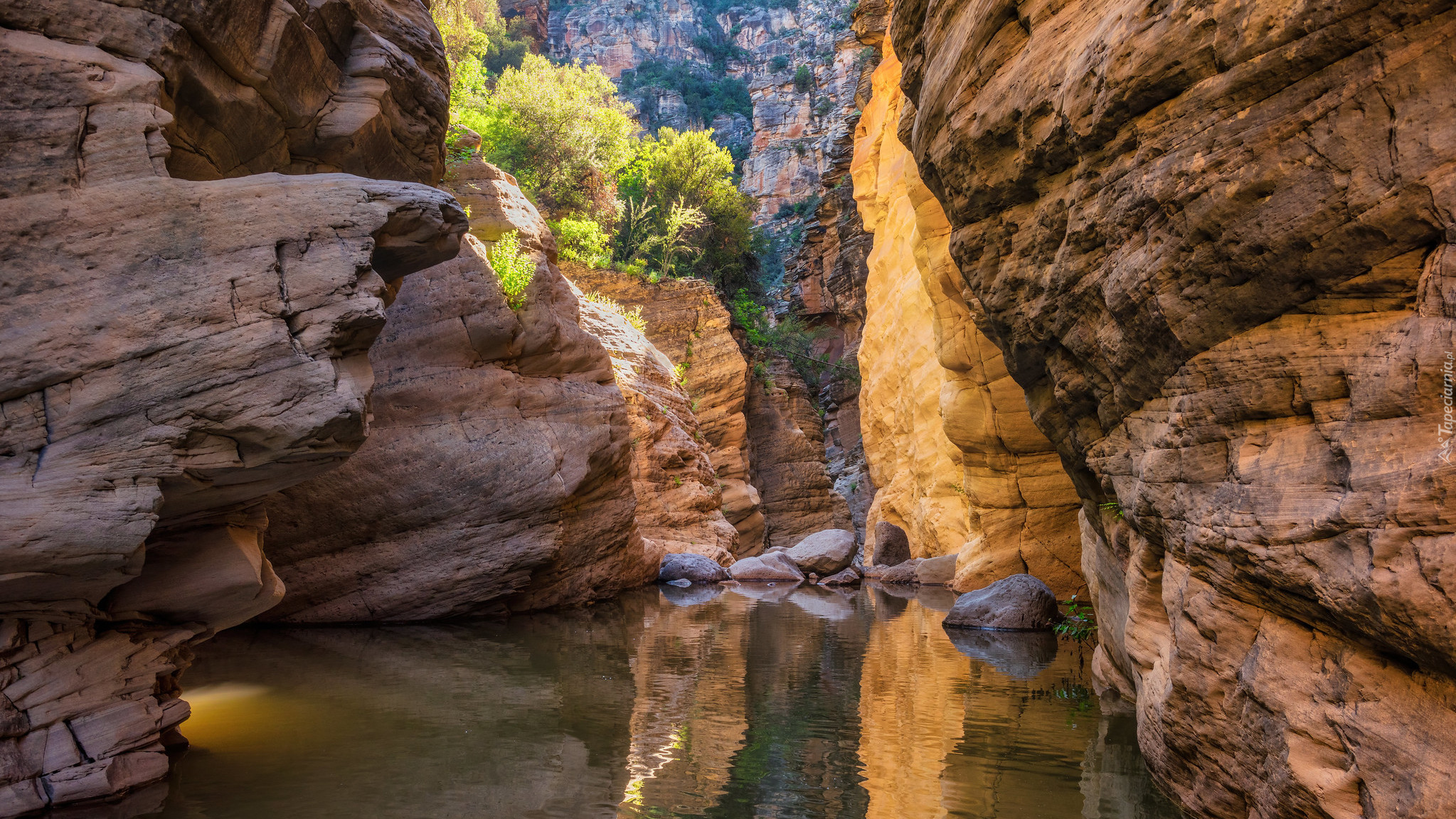 Skały, Rzeka, West Clear Creek, Krzewy, Kanion, Arizona, Stany Zjednoczone