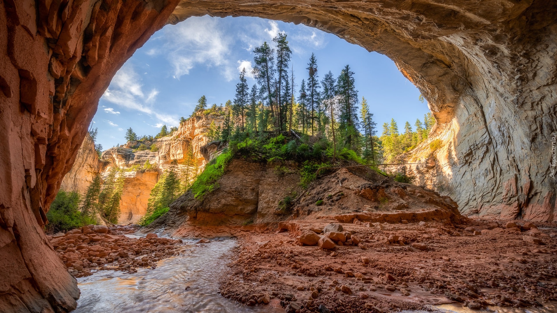 Skały, Drzewa, Rzeka, Kanab, Stan Utah, Stany Zjednoczone