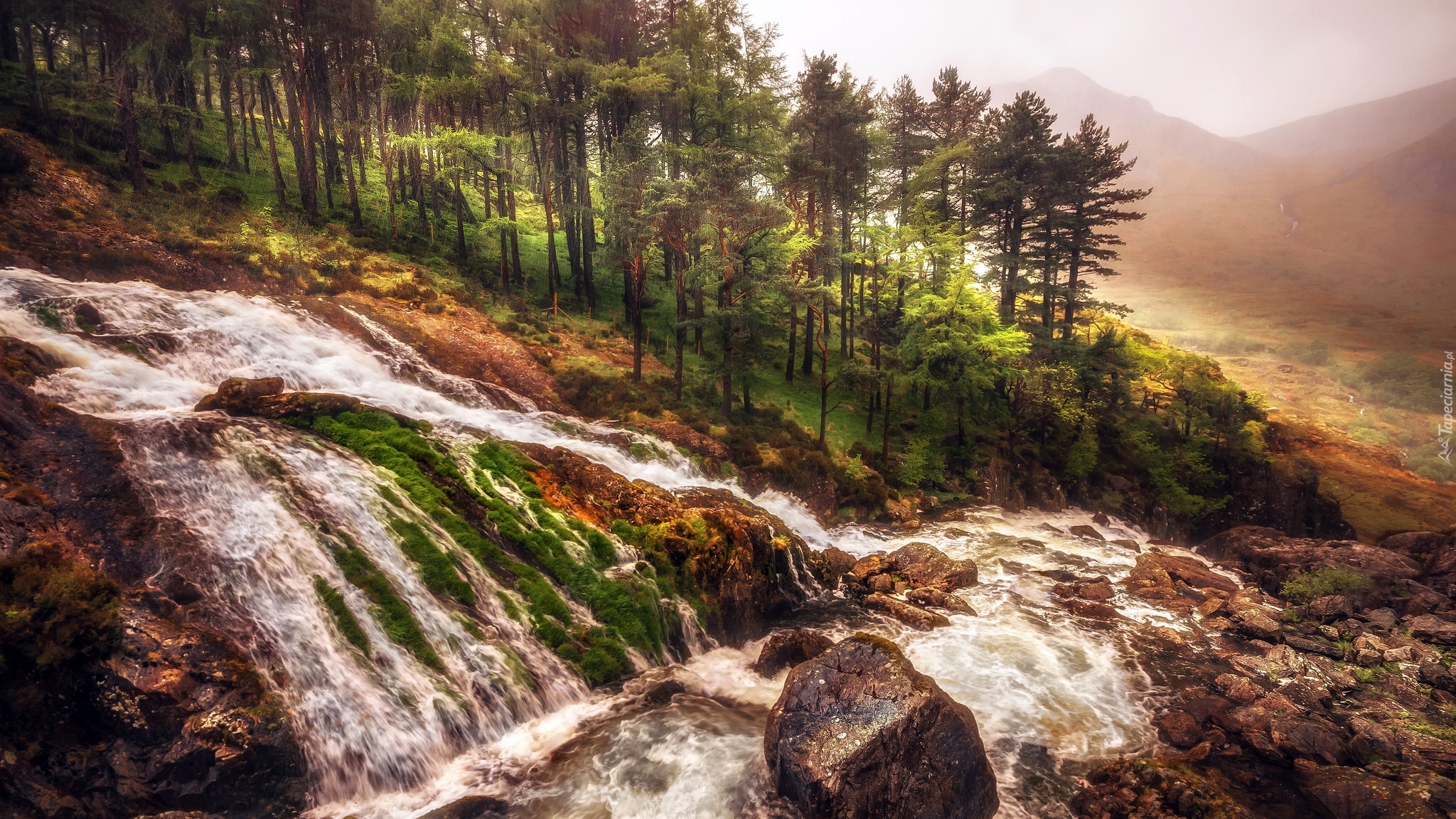 Walia, Park Narodowy Snowdonia, Drzewa, Skały, Kamienie, Rzeka