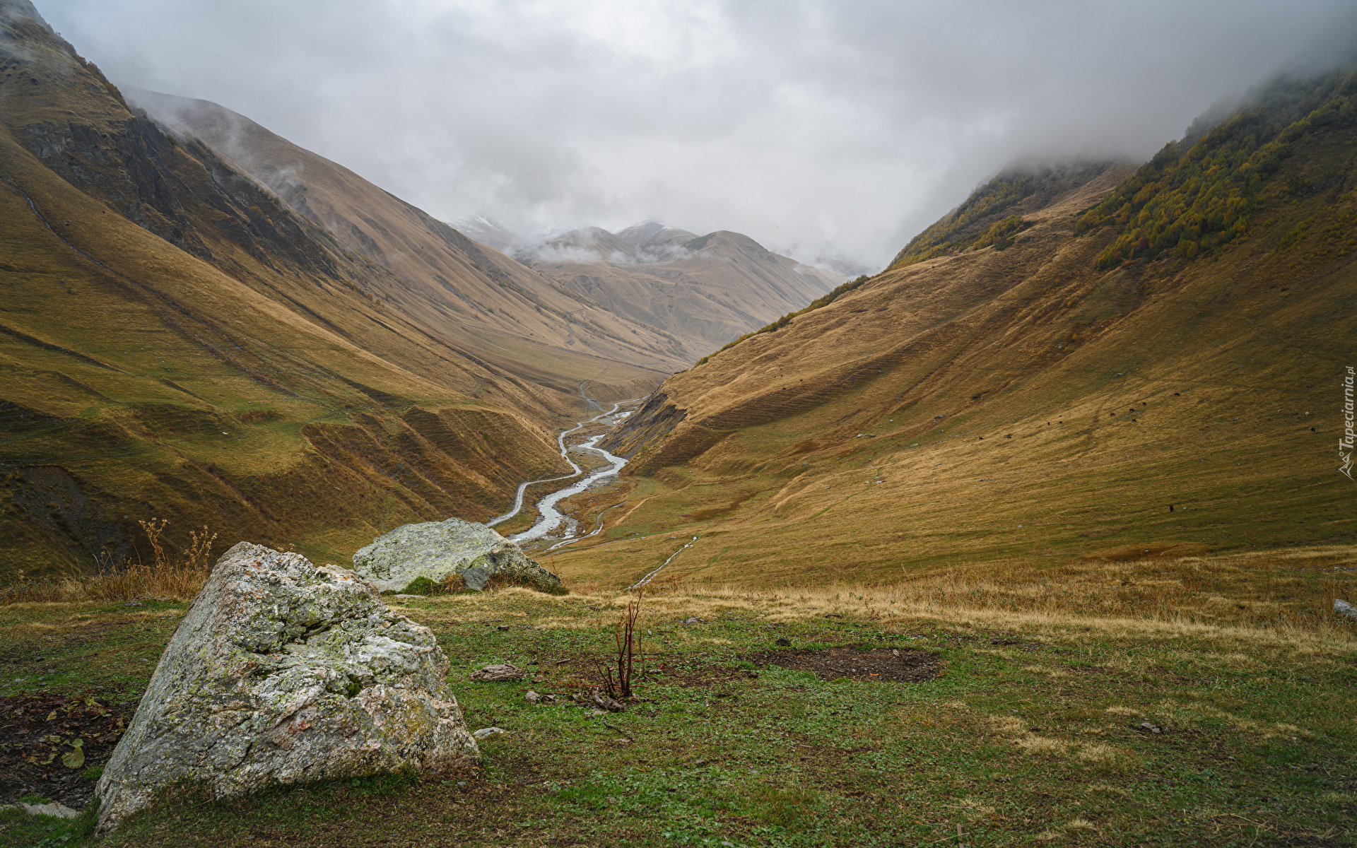 Gruzja, Ushguli, Enguri Valley, Góry, Mgła, Wąwóz, Rzeka, Głazy, Trawa