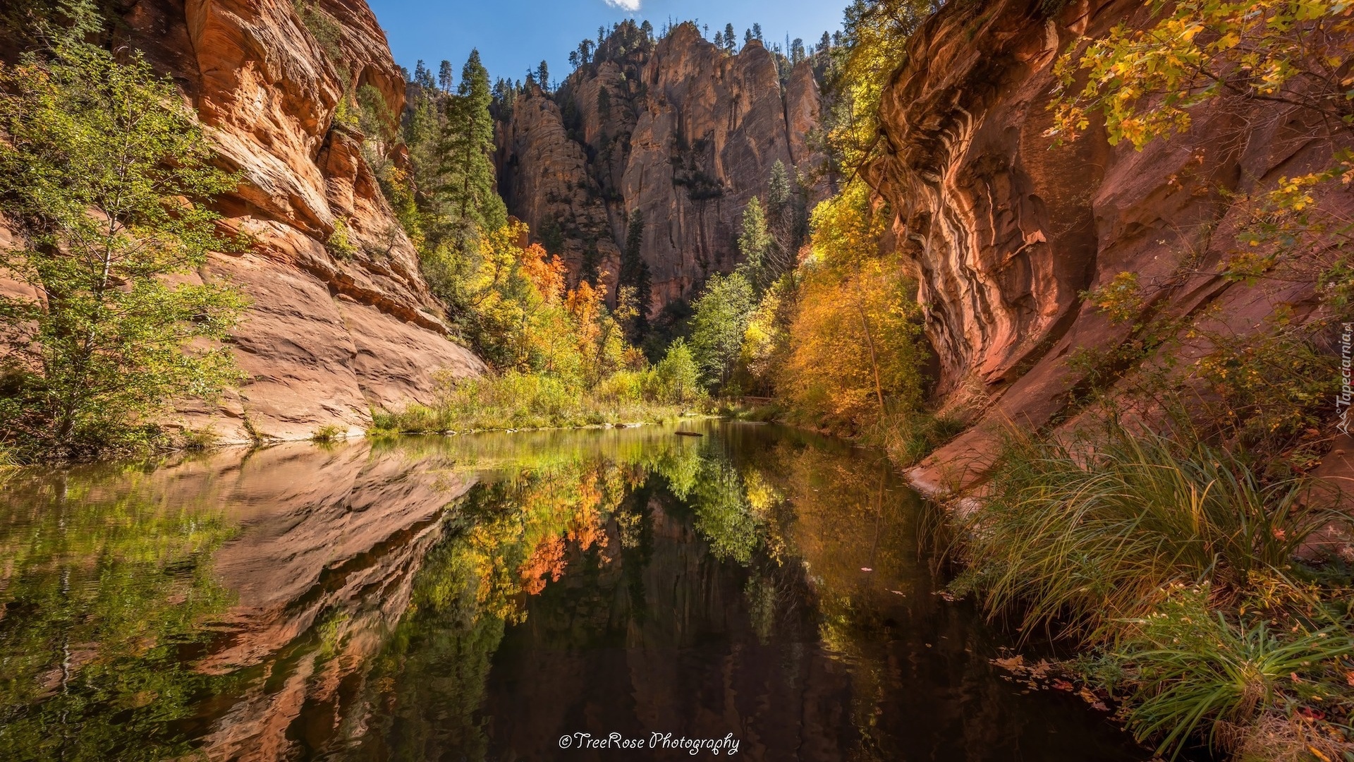 Stany Zjednoczone, Arizona, Sedona, Skały, Wąwóz, West Fork of Oak Creek, Drzewa