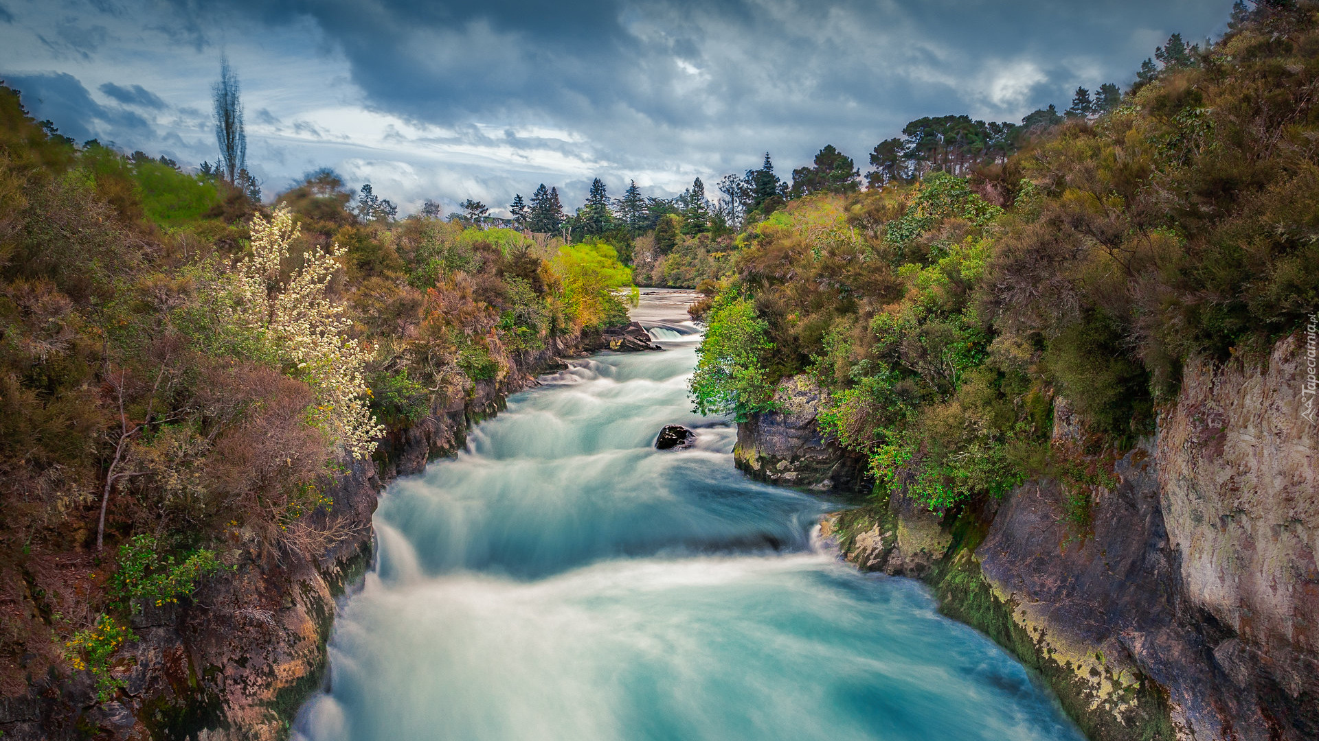 Rzeka, Waikato River, Drzewa, Skały, Nowa Zelandia