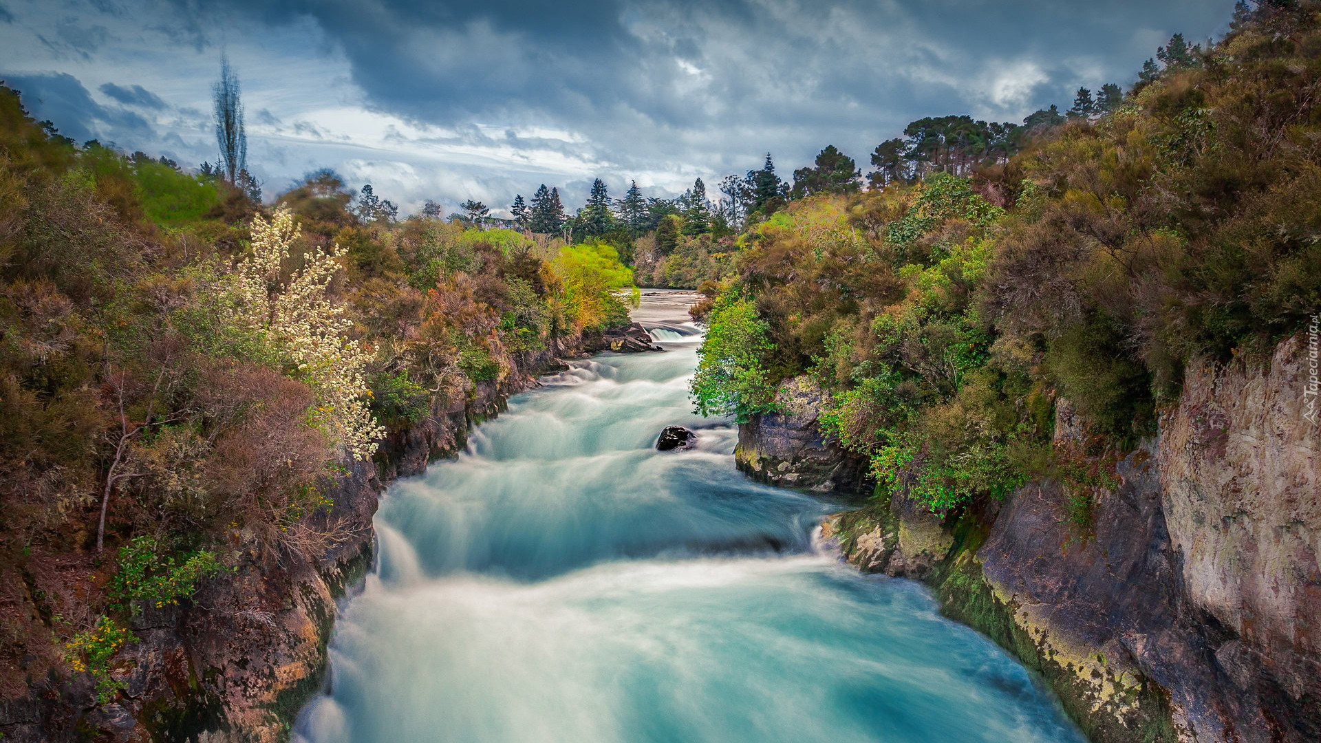 Rzeka Waikato River W Nowej Zelandii Rzeka Waikato River W Nowej Zelandii