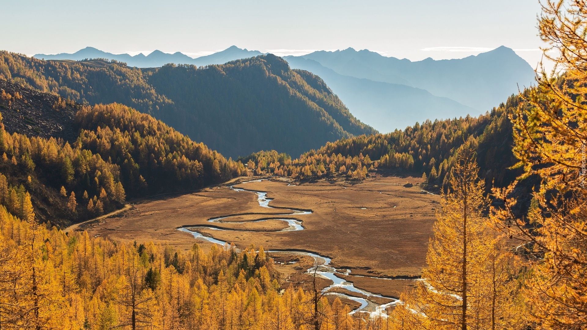 Dolina Preda Rossa, Góry, Rzeka, Drzewa, Jesień, Prowincja Sondrio, Włochy