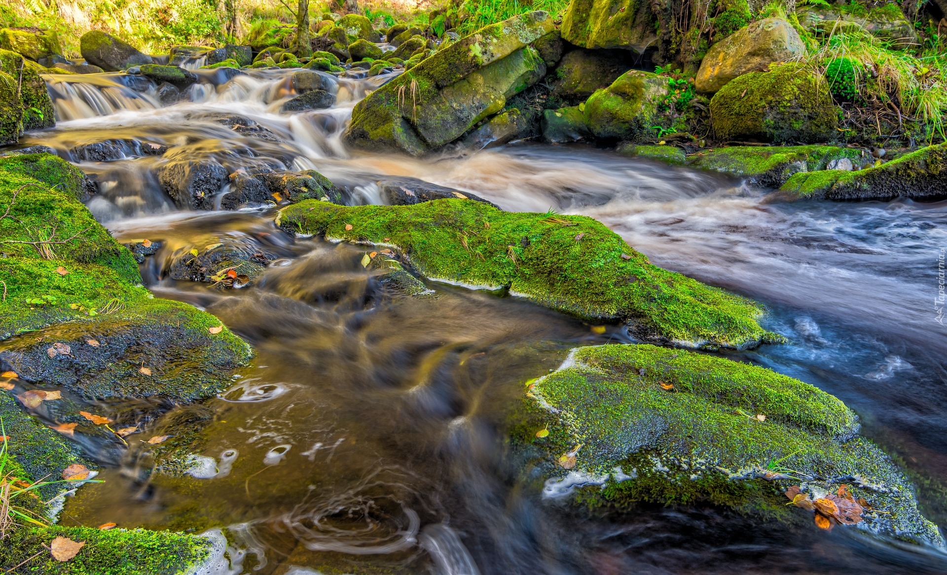 Anglia, Hrabstwo Yorkshire, Rzeka Wharfe, Omszałe, Kamienie